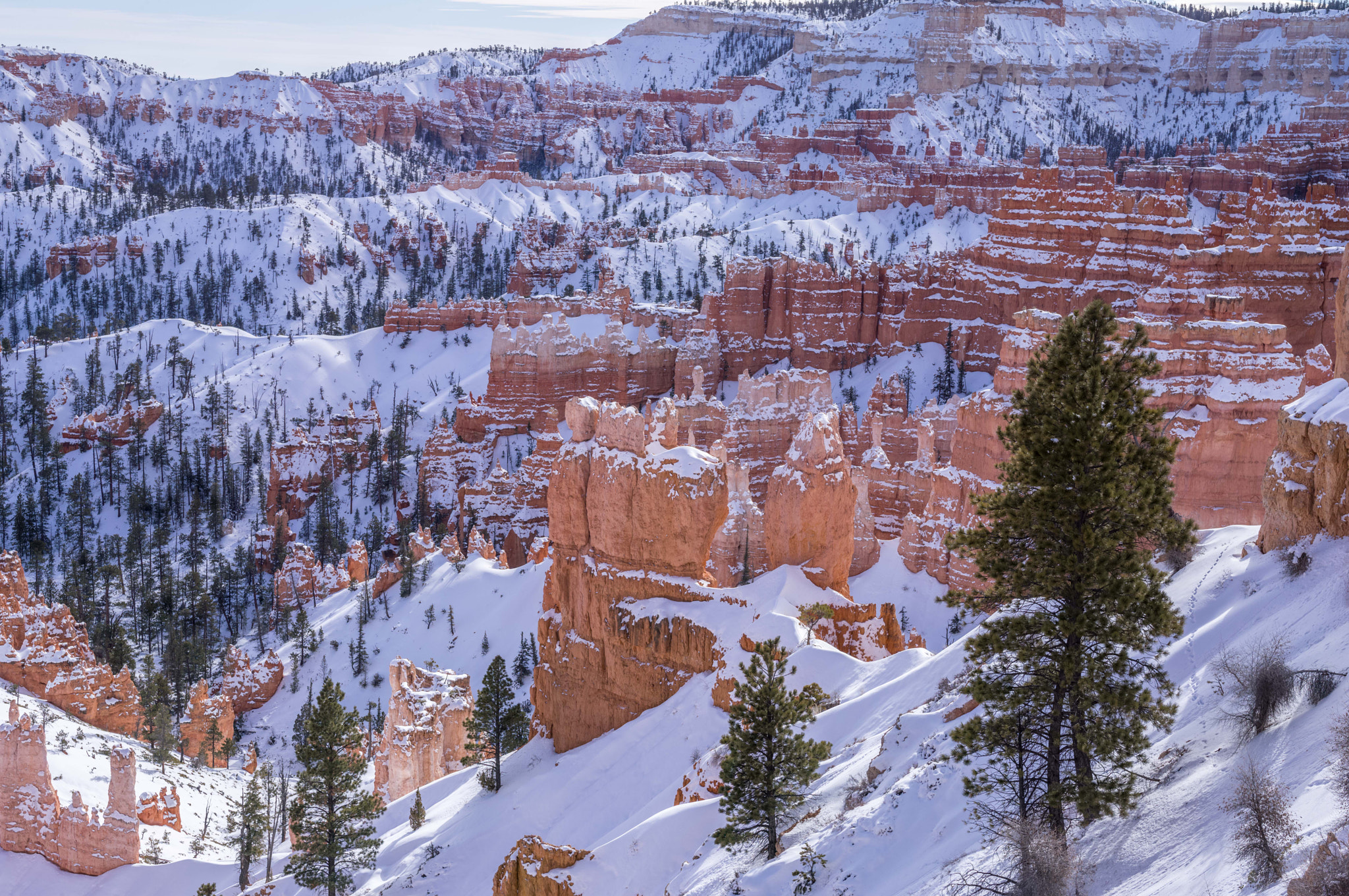 Leica S (TYP 006) + Summarit-S 70 sample photo. Bryce canyon #(of ) photography