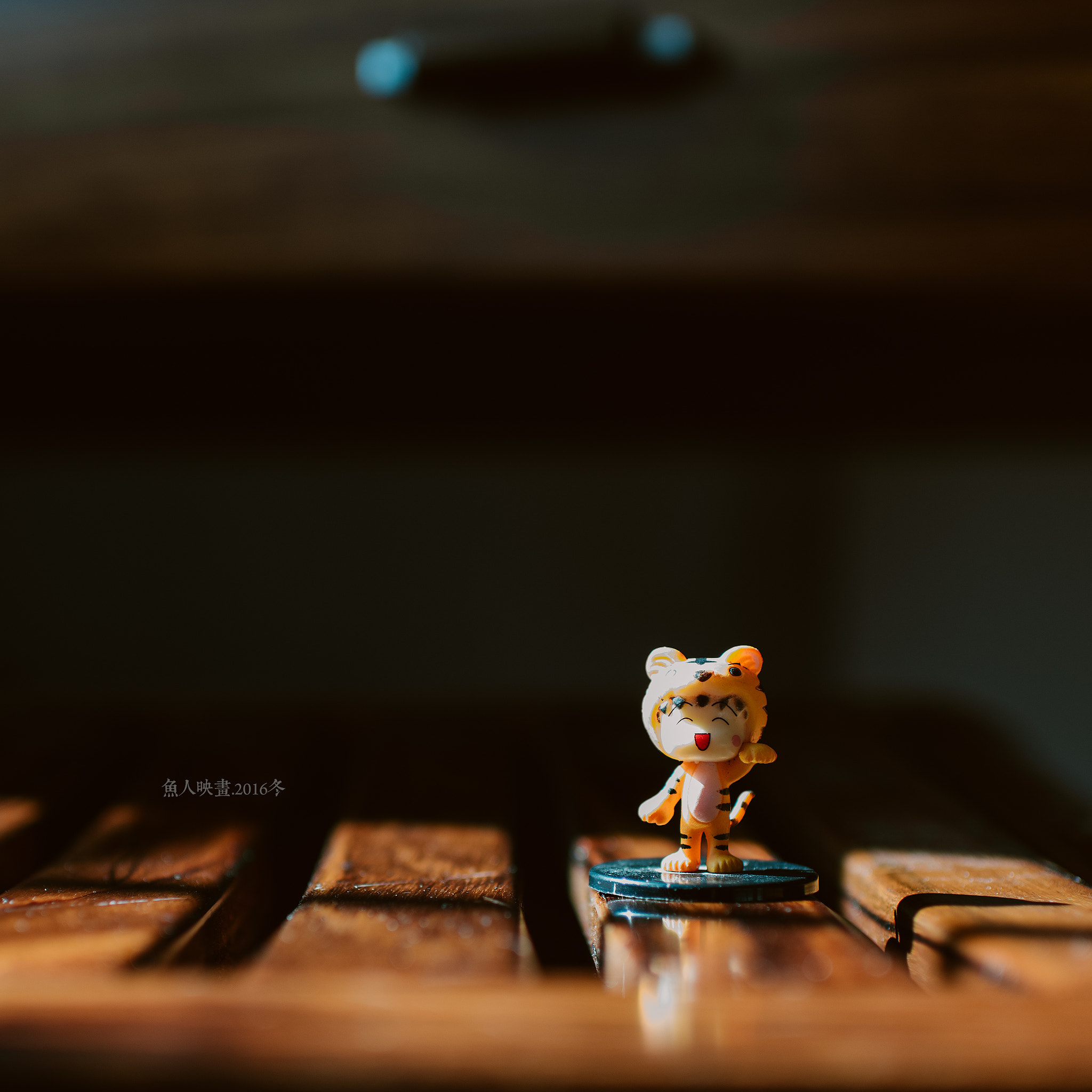 Nikon D810 + Nikon AF-S Nikkor 35mm F1.4G sample photo. 编辑 photography