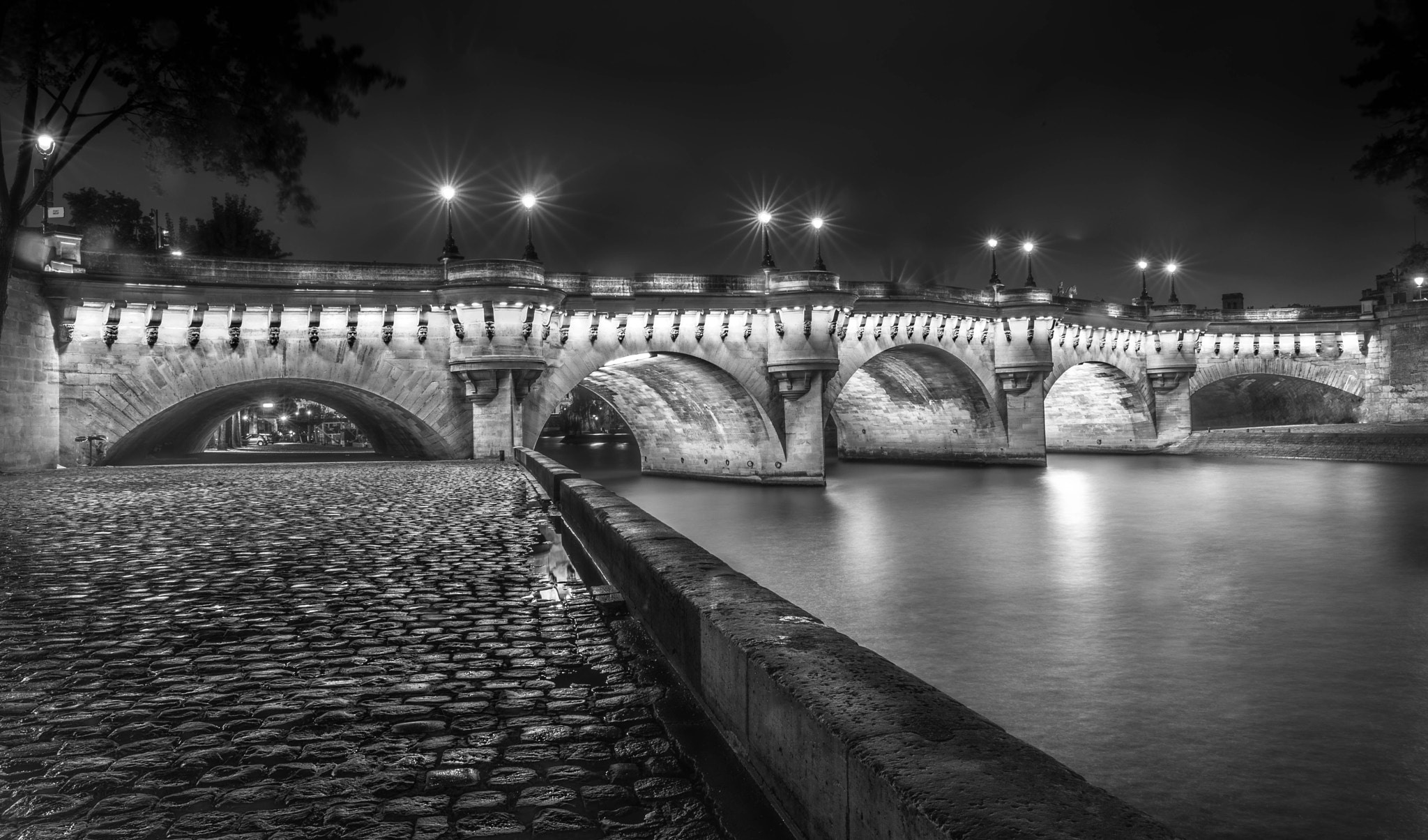 Nikon D800 sample photo. Paris pont neuf photography
