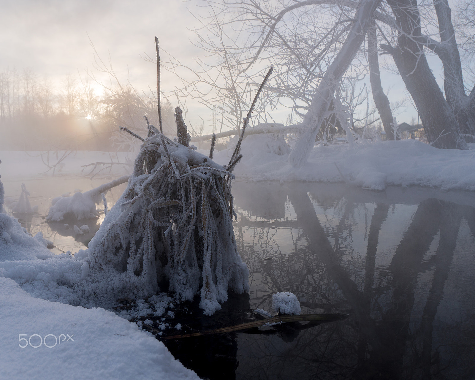 Sony a6500 sample photo. Winter colors photography