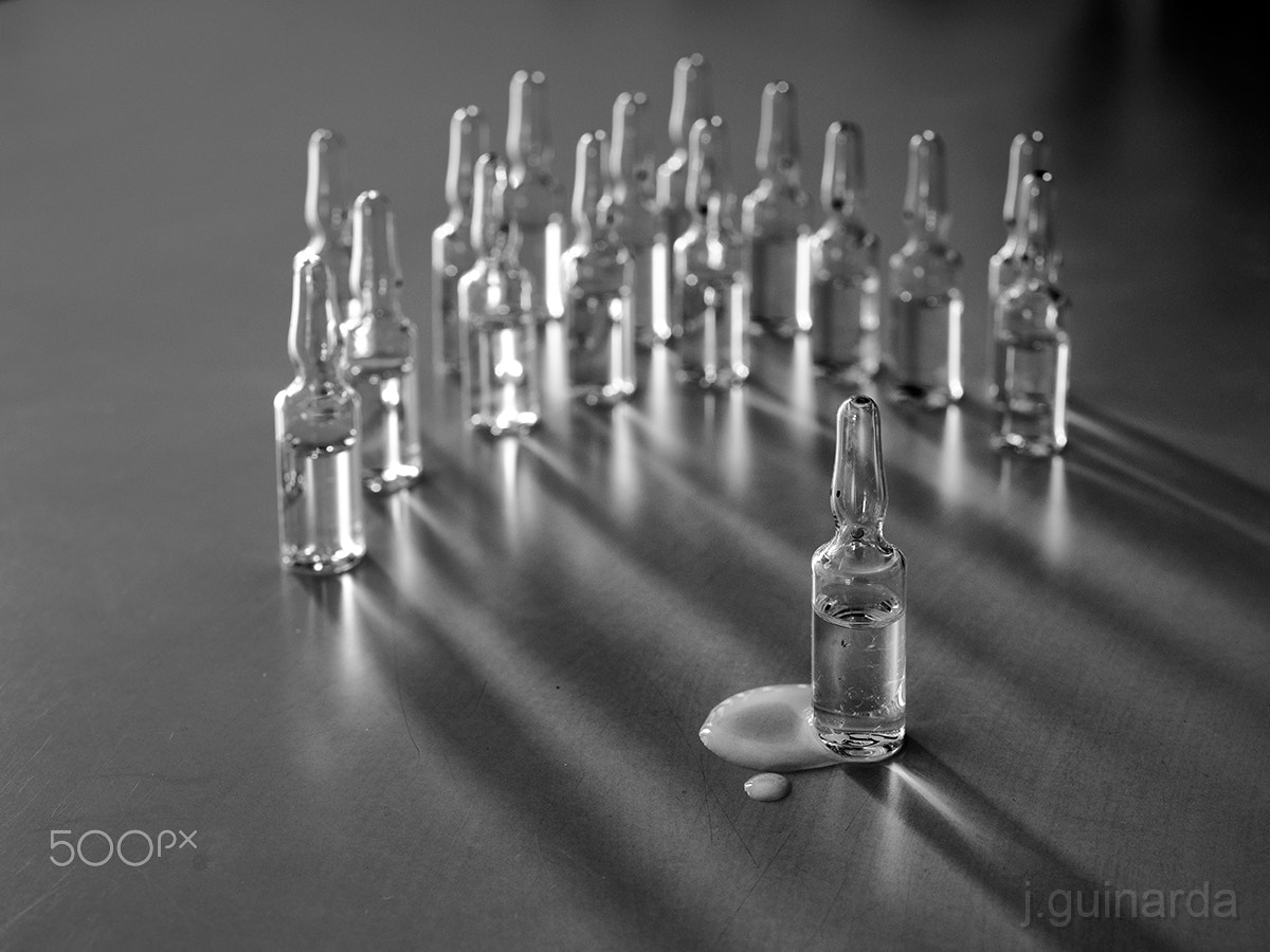 Pentax smc D-FA 50mm F2.8 Macro sample photo. La humanitat- bullying photography