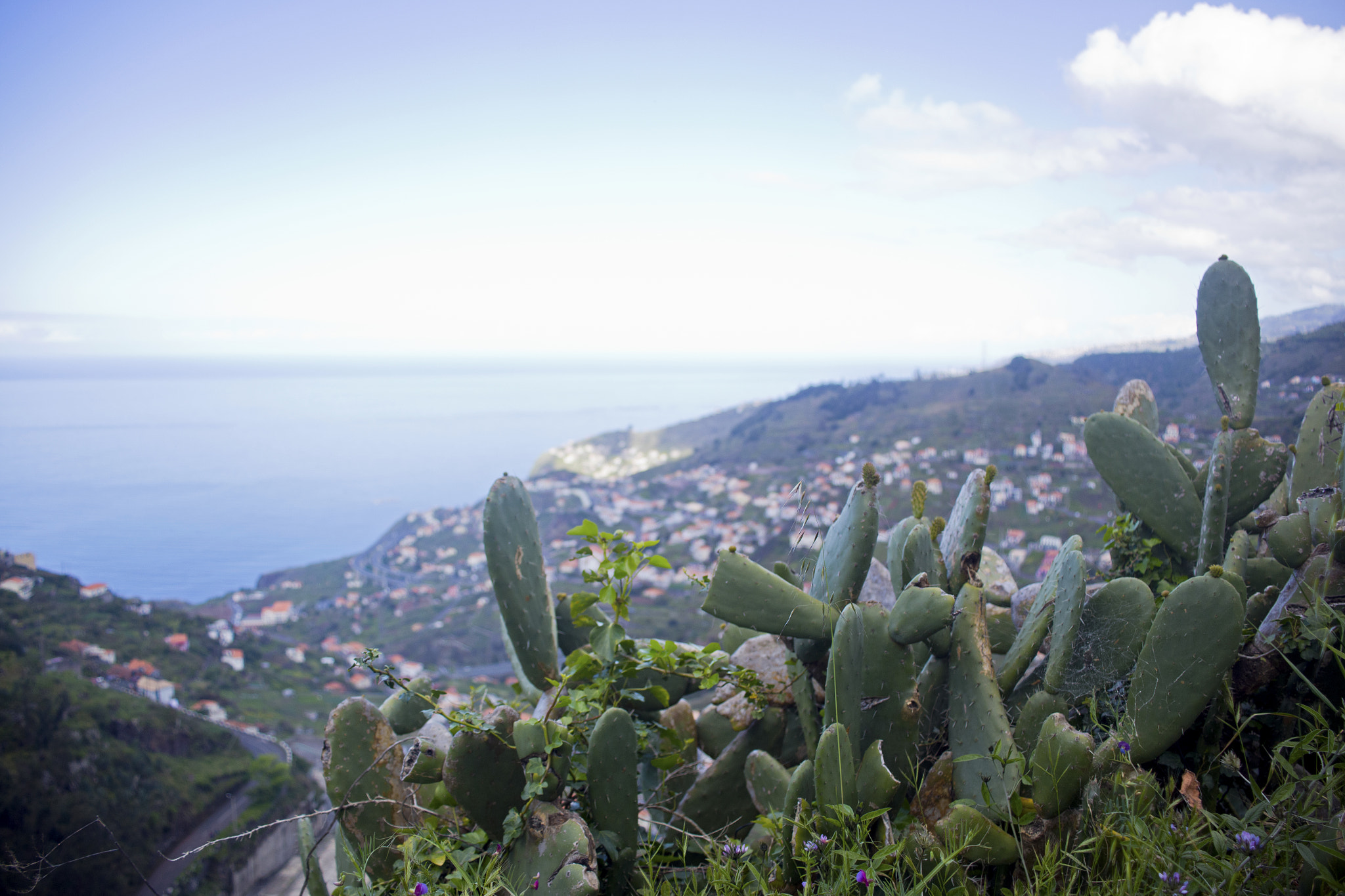 Canon EOS 6D sample photo. Madeiran landscape photography