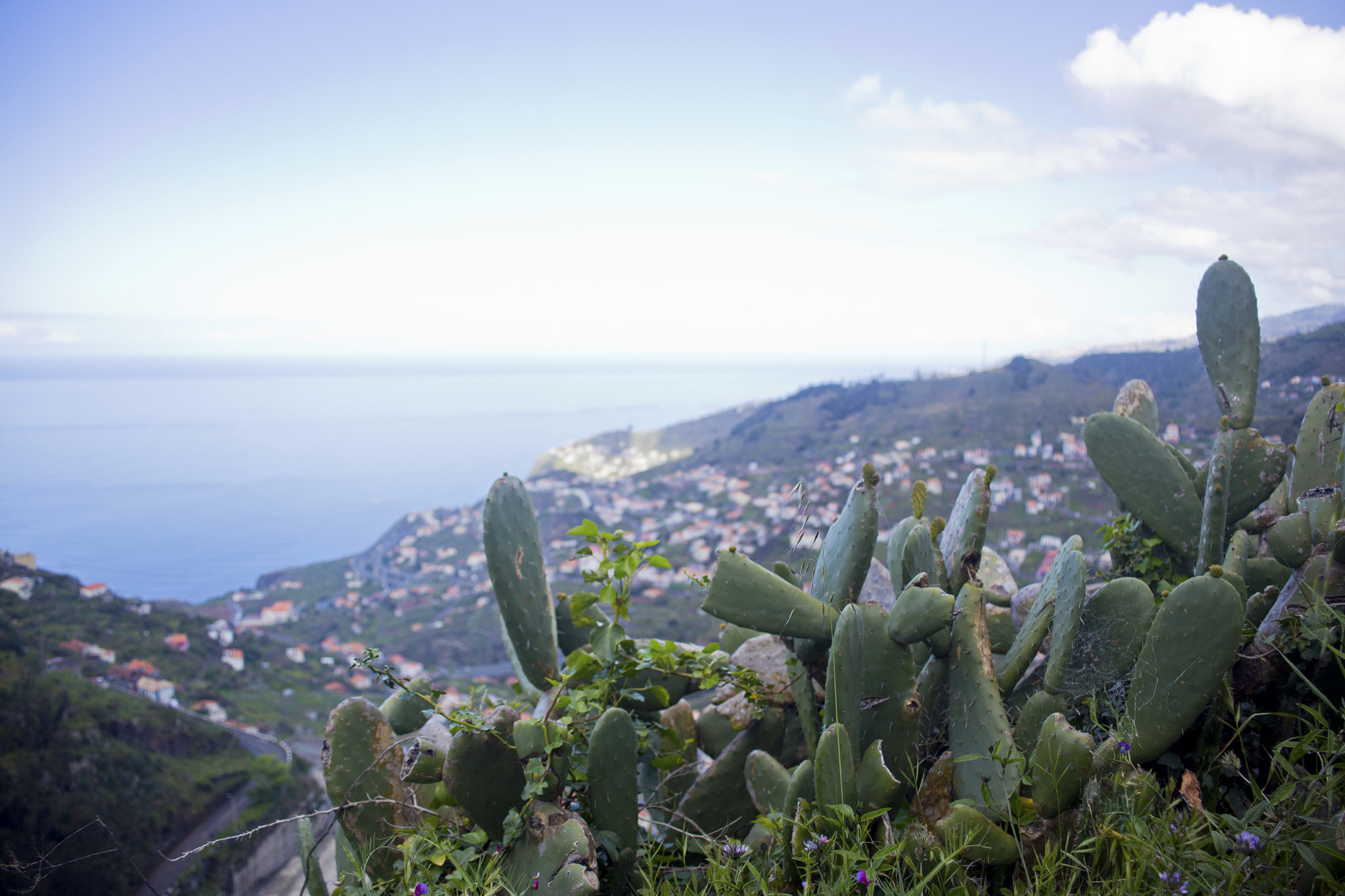 Canon EF 28-80mm f/3.5-5.6 sample photo. Madeiran landscape photography