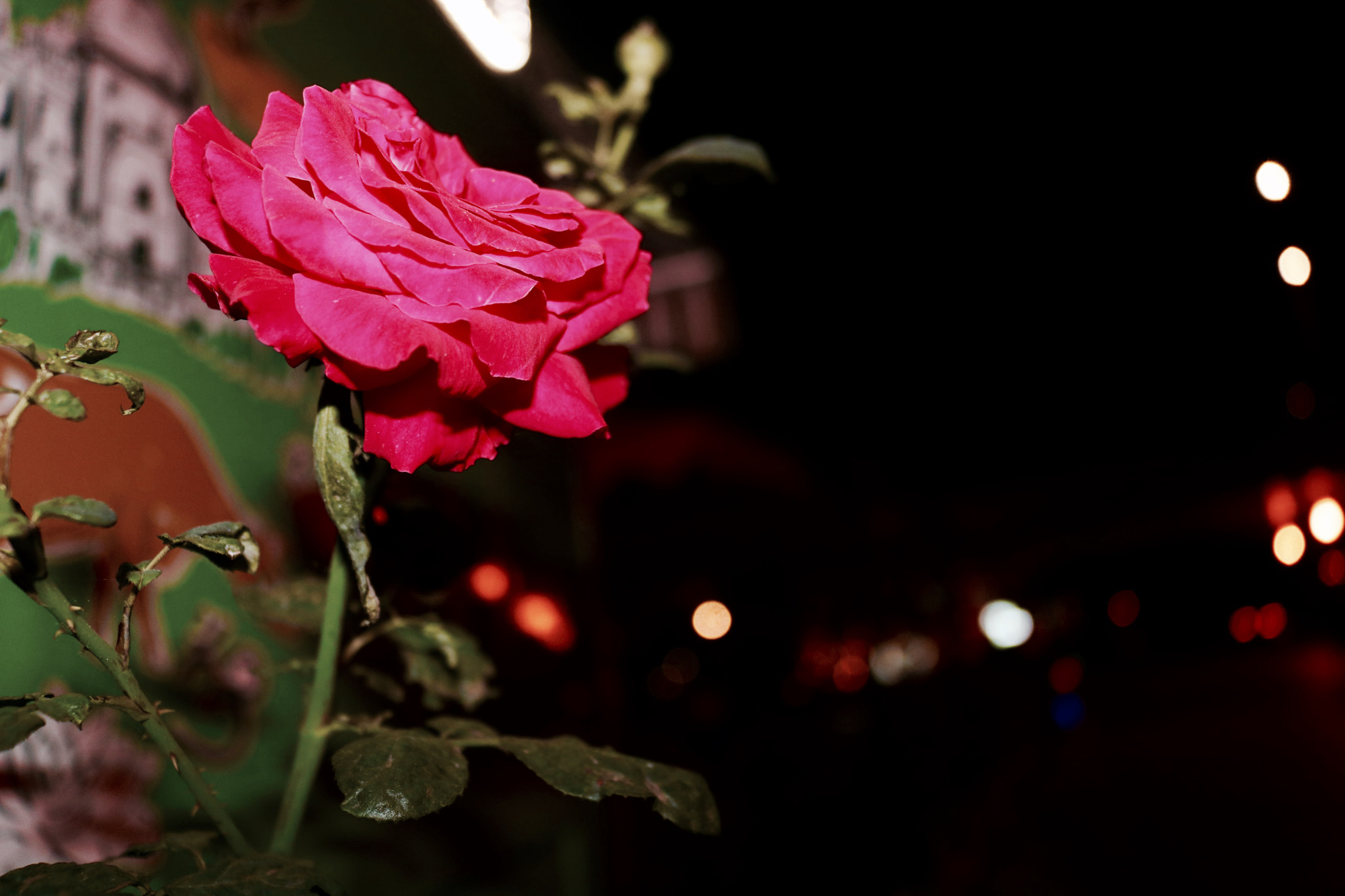 Canon EOS 760D (EOS Rebel T6s / EOS 8000D) sample photo