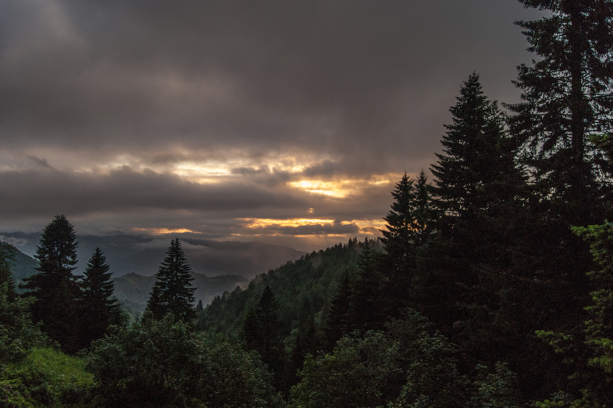 Sony Alpha DSLR-A290 sample photo. Sunset&clouds photography