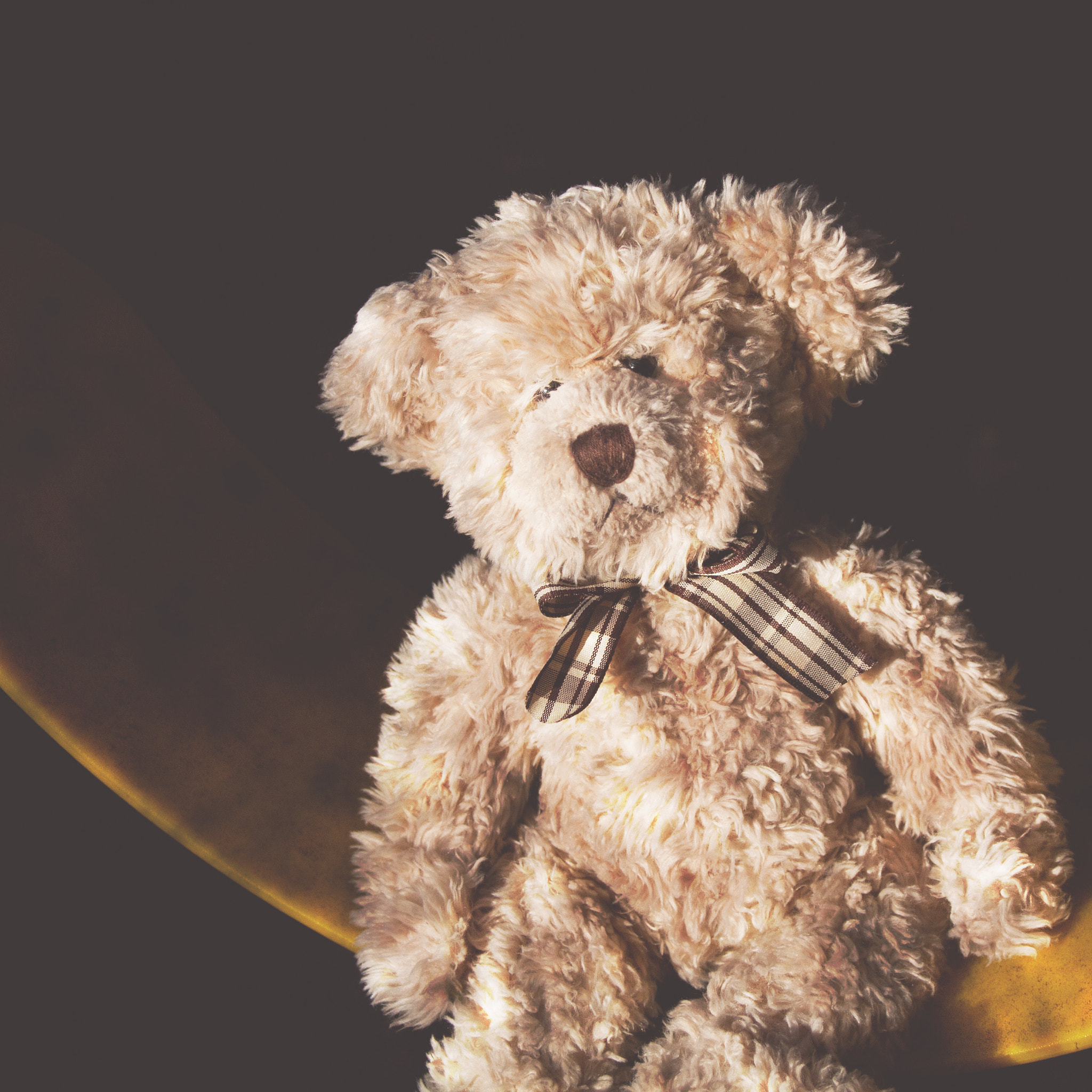Canon EOS 450D (EOS Rebel XSi / EOS Kiss X2) sample photo. Teddy lives forever photography