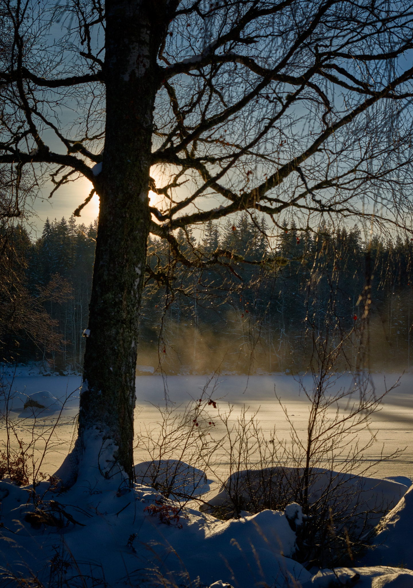 Nikon D800E sample photo. Lake bredreven värmland sweden photography