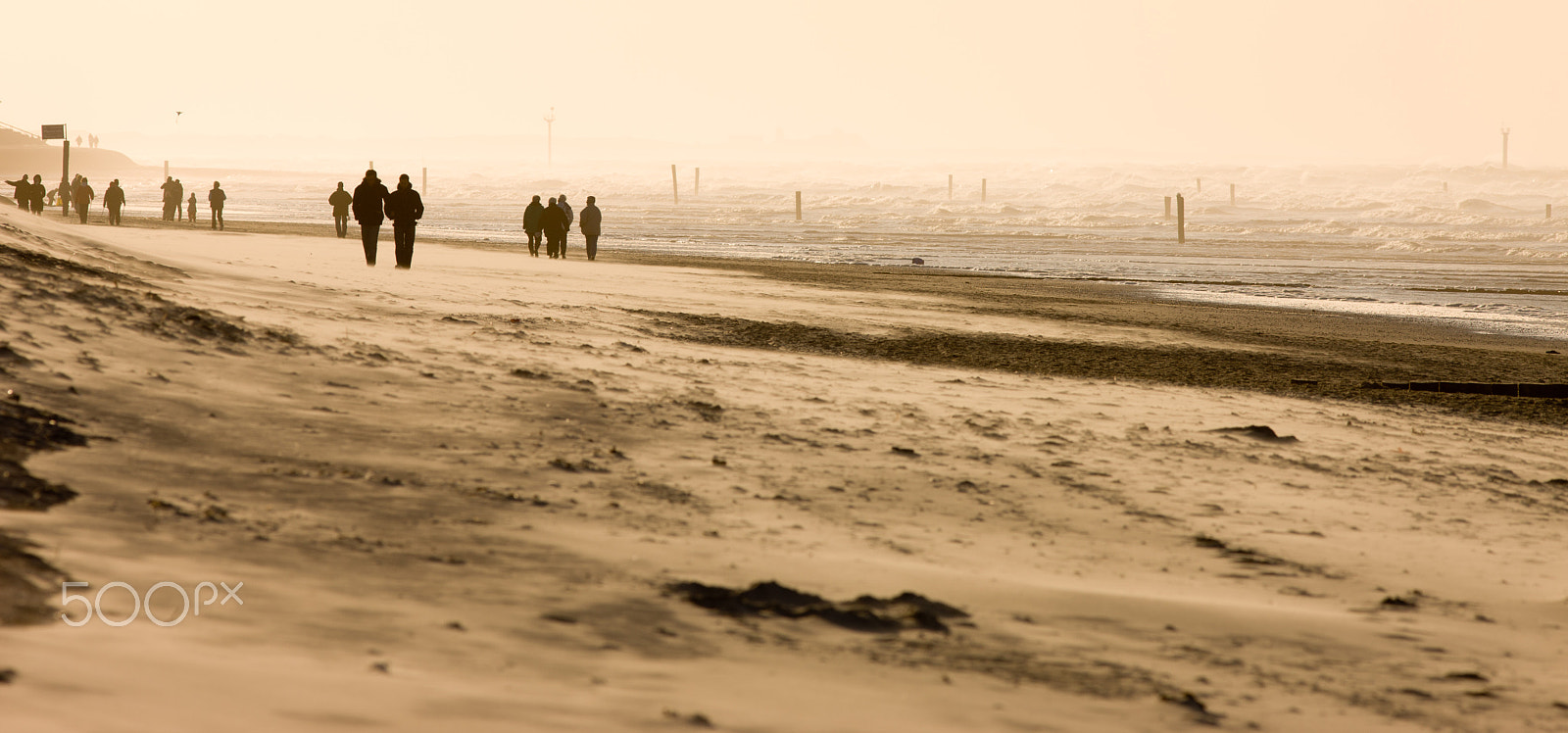 Canon EF 300mm F4L IS USM sample photo. Walking on the beach photography