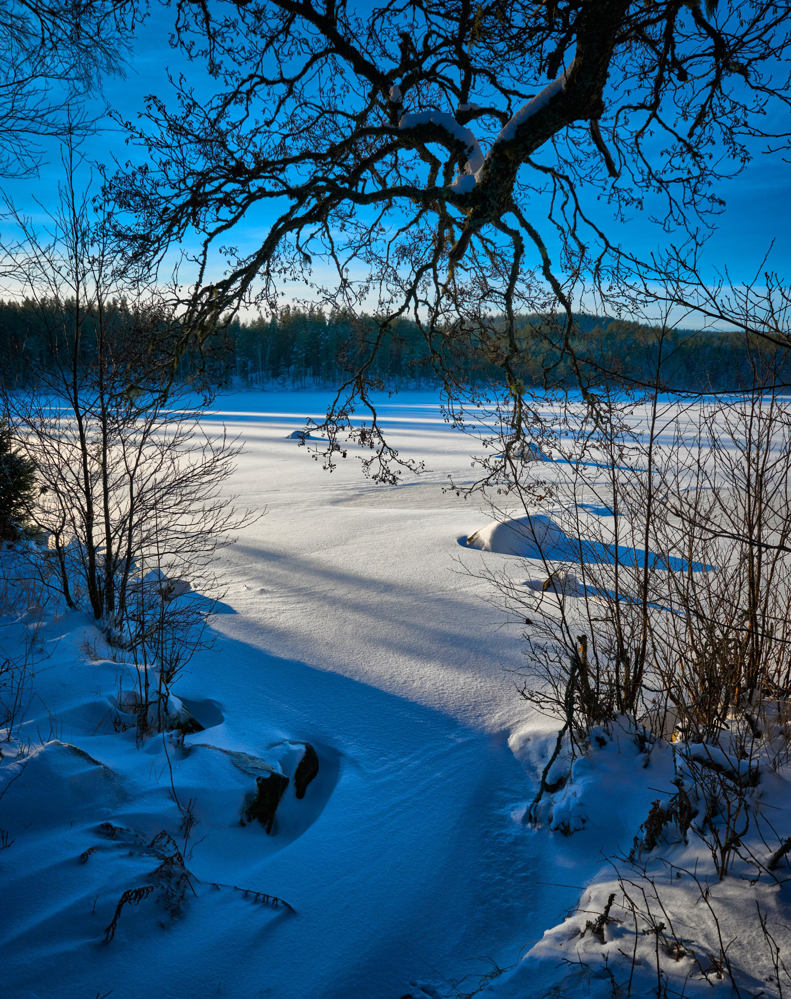 Nikon D800E sample photo. Lake bredreven värmland sweden photography