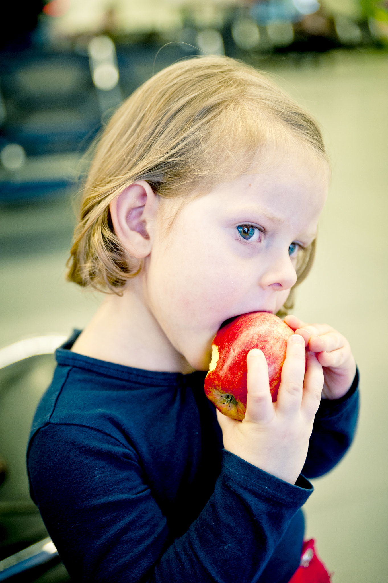 Tamron SP 24-70mm F2.8 Di VC USD sample photo. Snow white and the apple photography