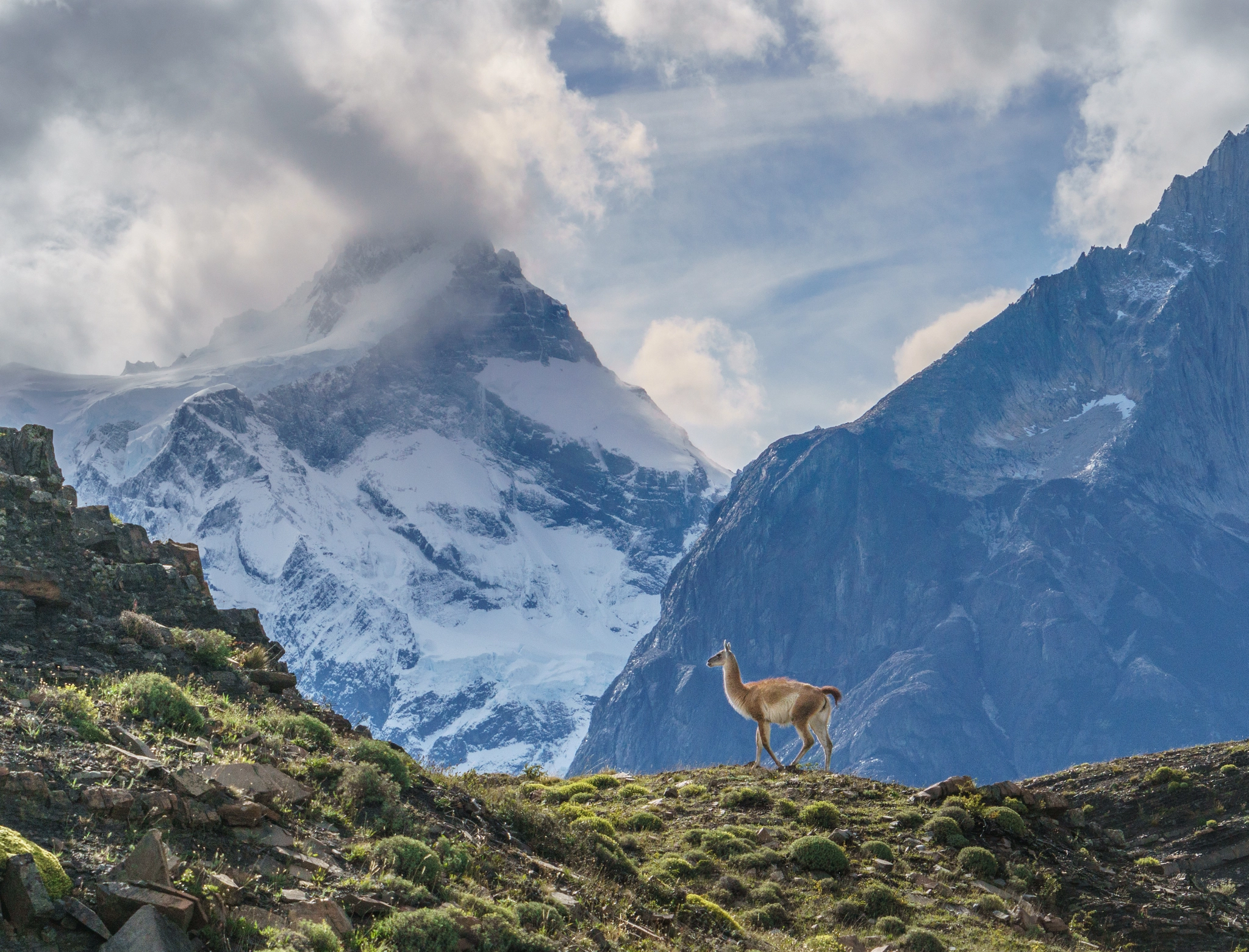 Sony a6300 + Sony FE 24-240mm F3.5-6.3 OSS sample photo. The spirit of patagonia photography