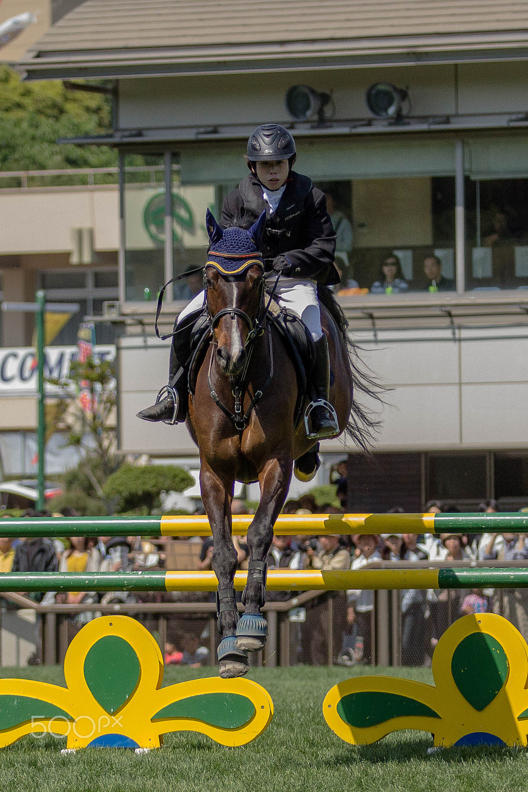 Canon EF 70-200mm F2.8L USM sample photo. Sport 2 photography