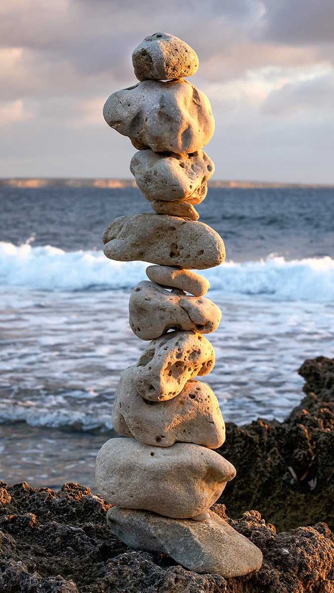 Fujifilm X-E2 + Fujifilm XF 55-200mm F3.5-4.8 R LM OIS sample photo. Totem photography