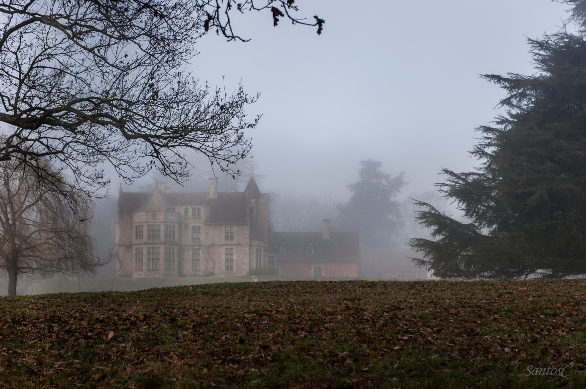 Nikon D90 + Sigma 17-70mm F2.8-4 DC Macro OS HSM | C sample photo. A foggy day in cantabria (spain) photography