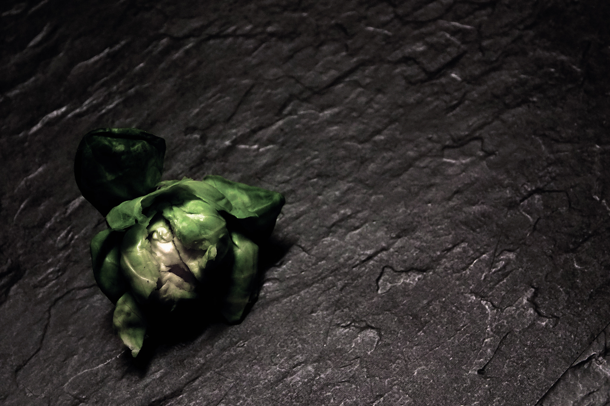 Olympus OM-D E-M1 sample photo. Brussels sprouts photography