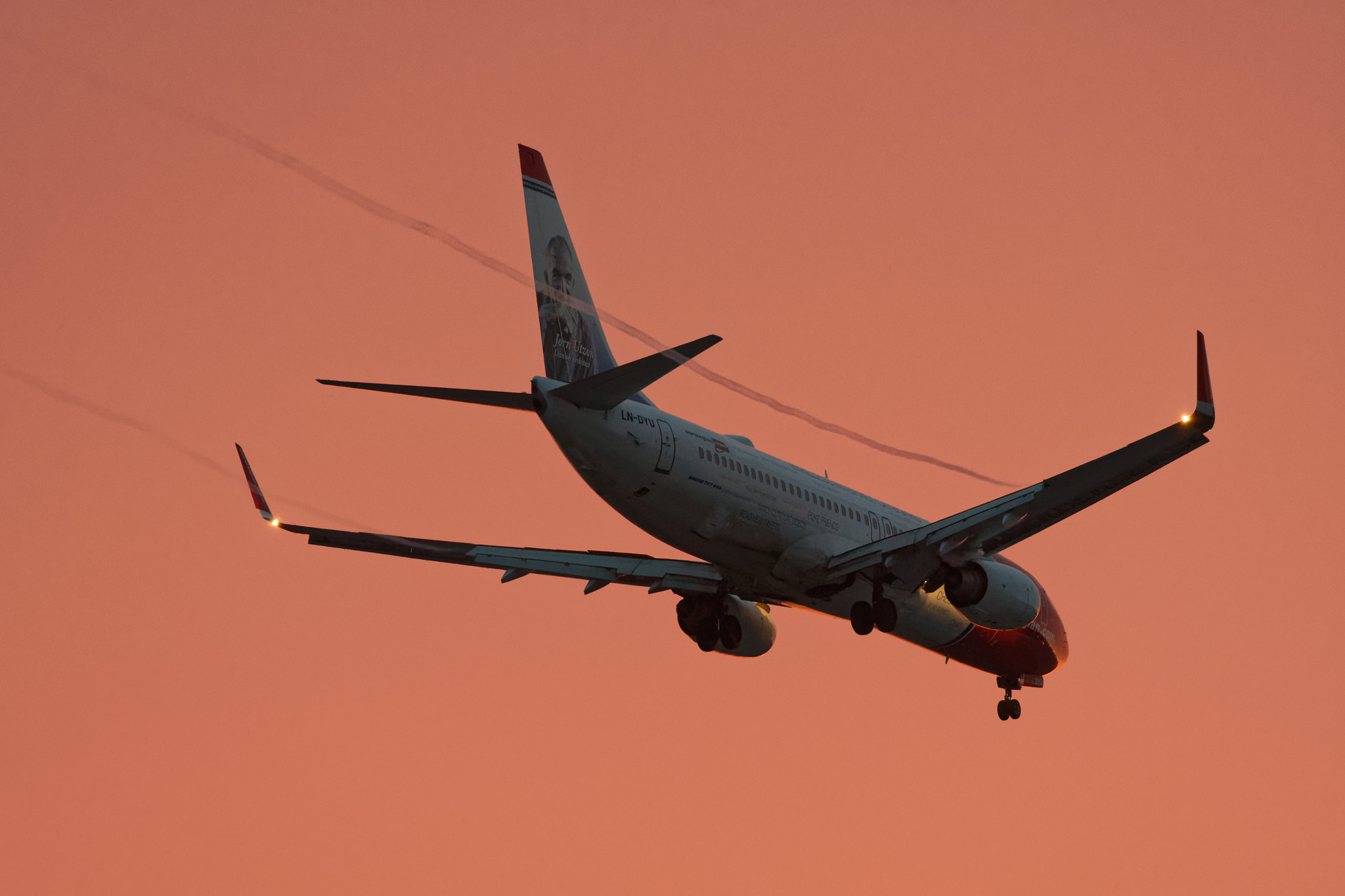 Nikon AF-S Nikkor 300mm F4D ED-IF sample photo. Landing towards the sun #2 photography