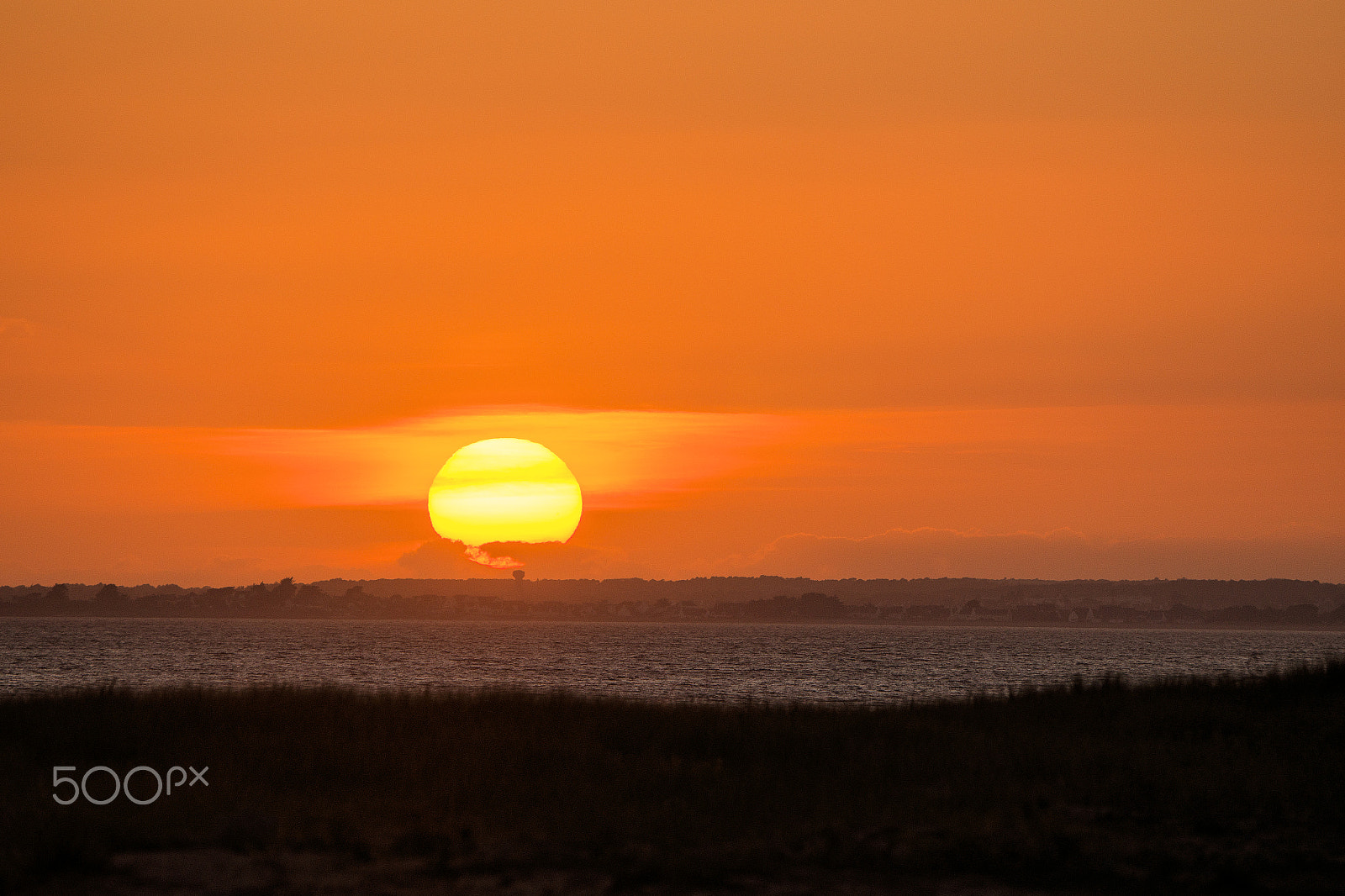 Sony 70-400mm F4-5.6 G SSM II sample photo. Dsc photography