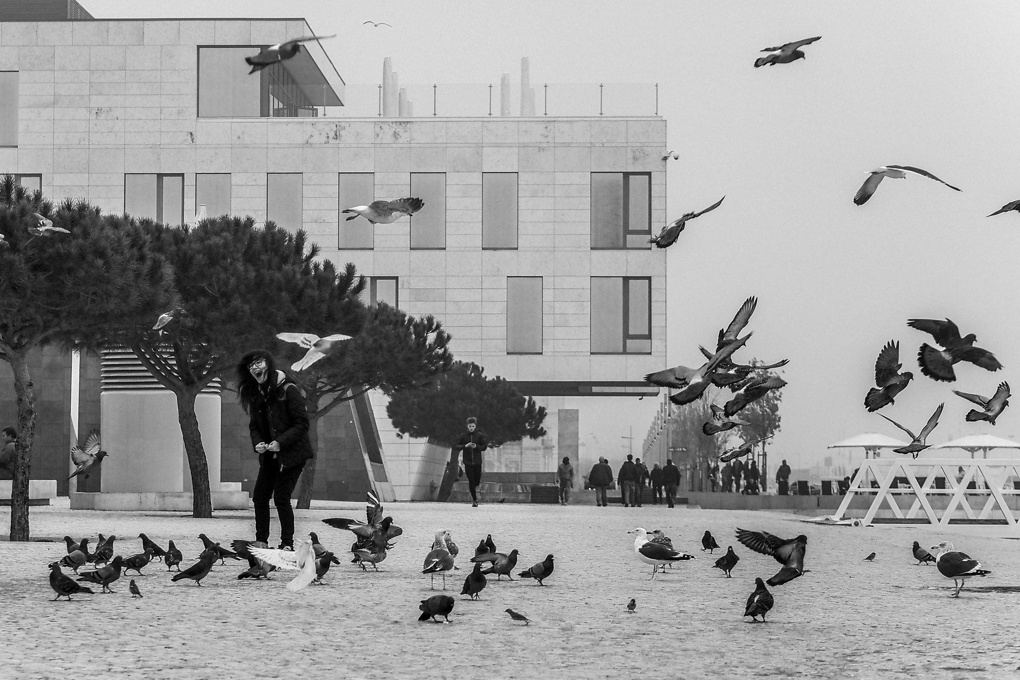 Olympus PEN E-PL5 sample photo. Birdie girl : )) photography