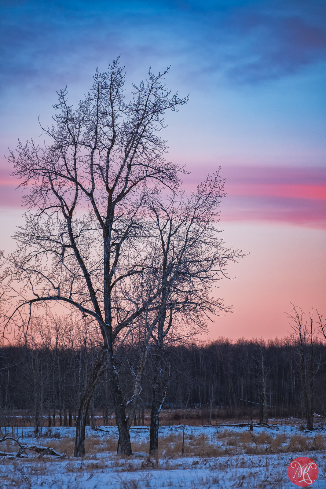 Fujifilm X-E2 + Fujifilm XF 55-200mm F3.5-4.8 R LM OIS sample photo. Nature to enjoy photography