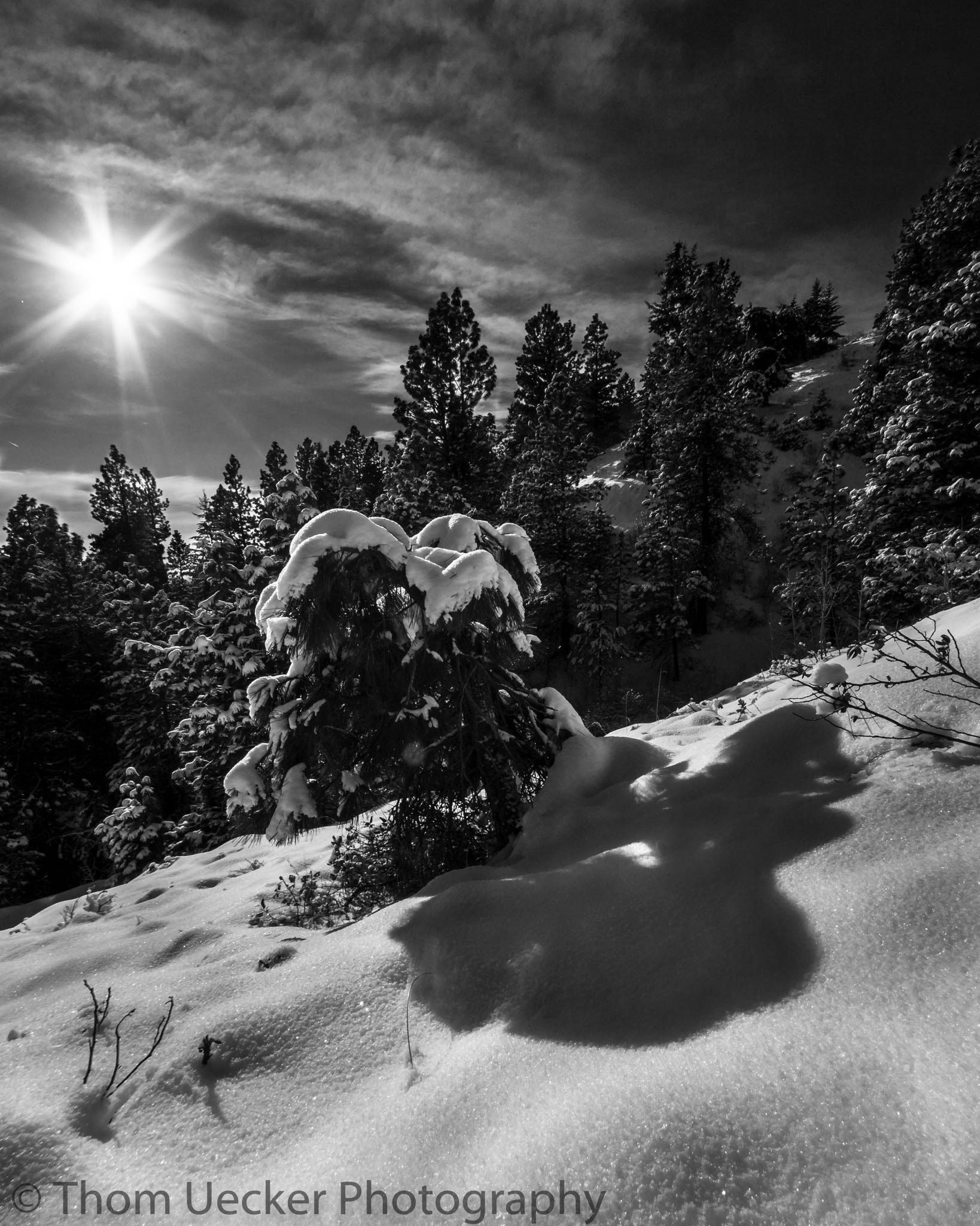 Canon EF-S 10-22mm F3.5-4.5 USM sample photo. Lone tree  photography