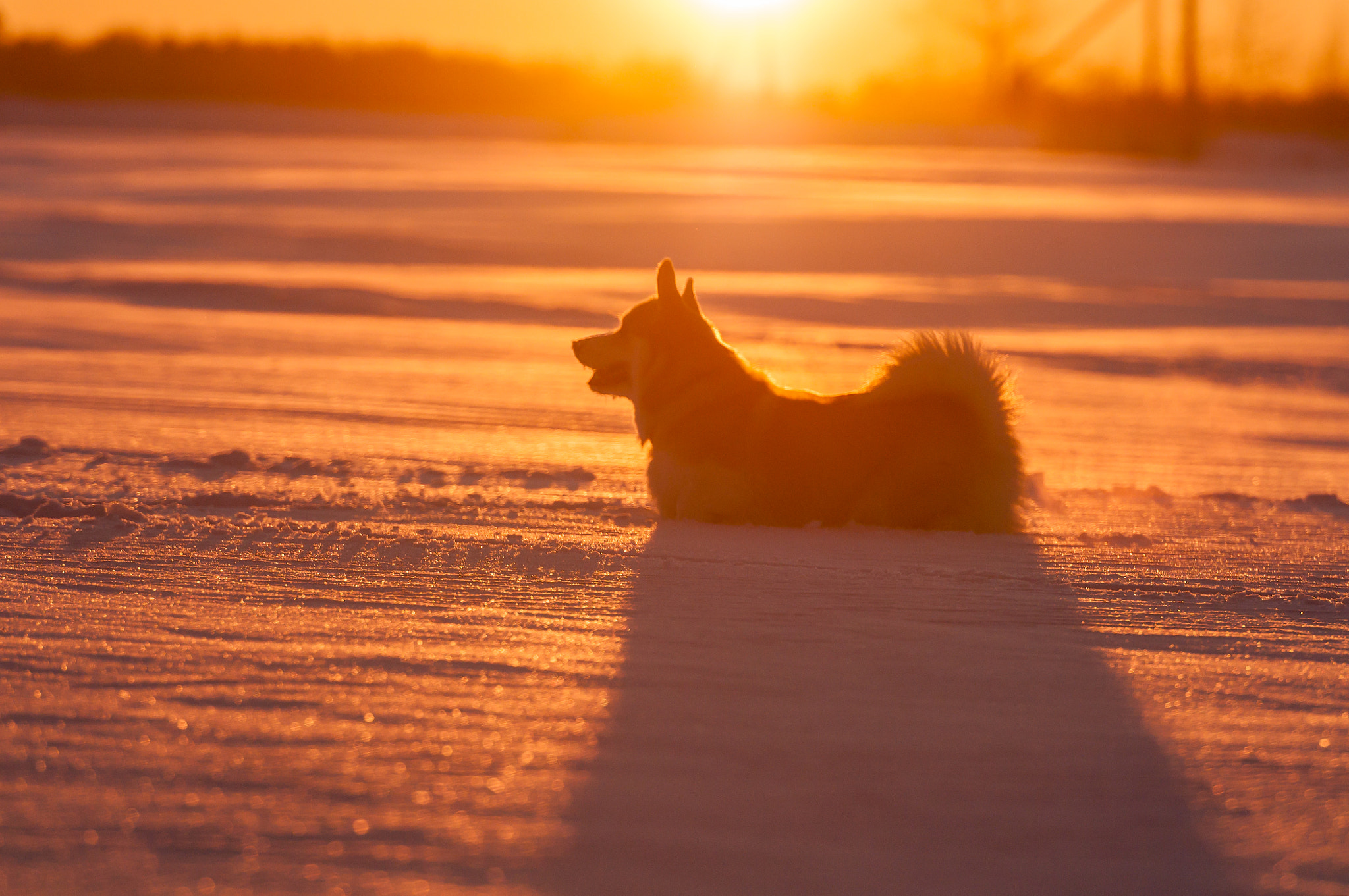 Nikon AF-S Nikkor 70-200mm F2.8G ED VR II sample photo. The sundog photography