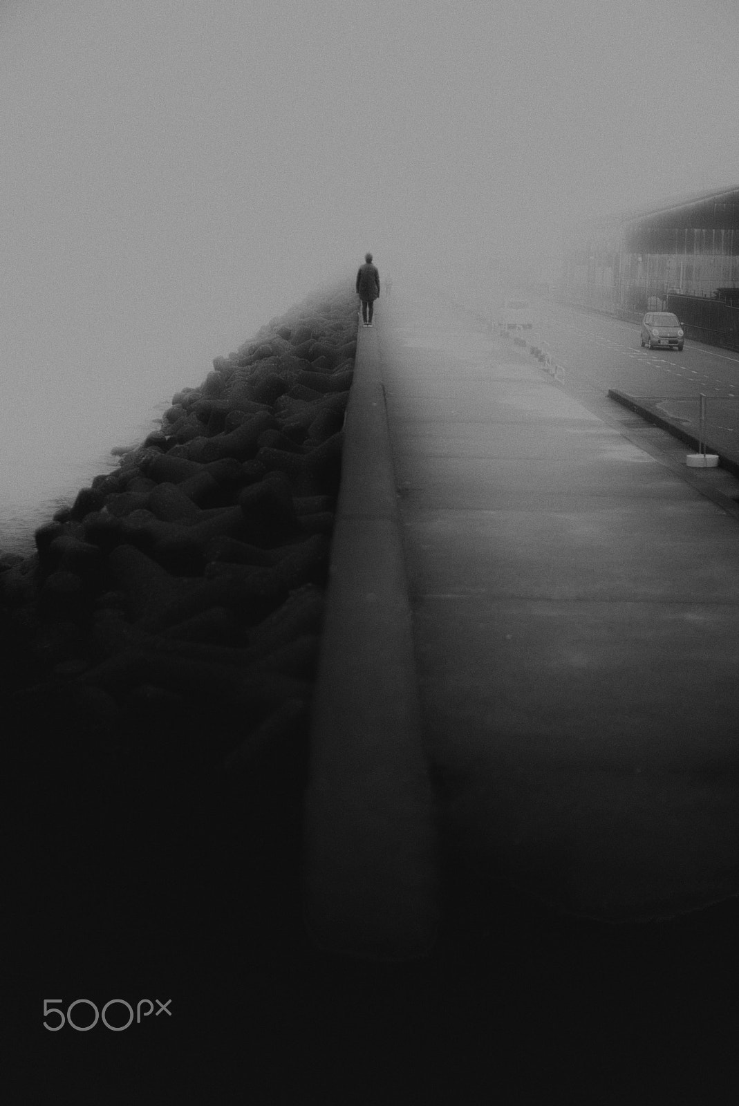 Leica Noctilux-M 50mm F0.95 ASPH sample photo. Mist photography