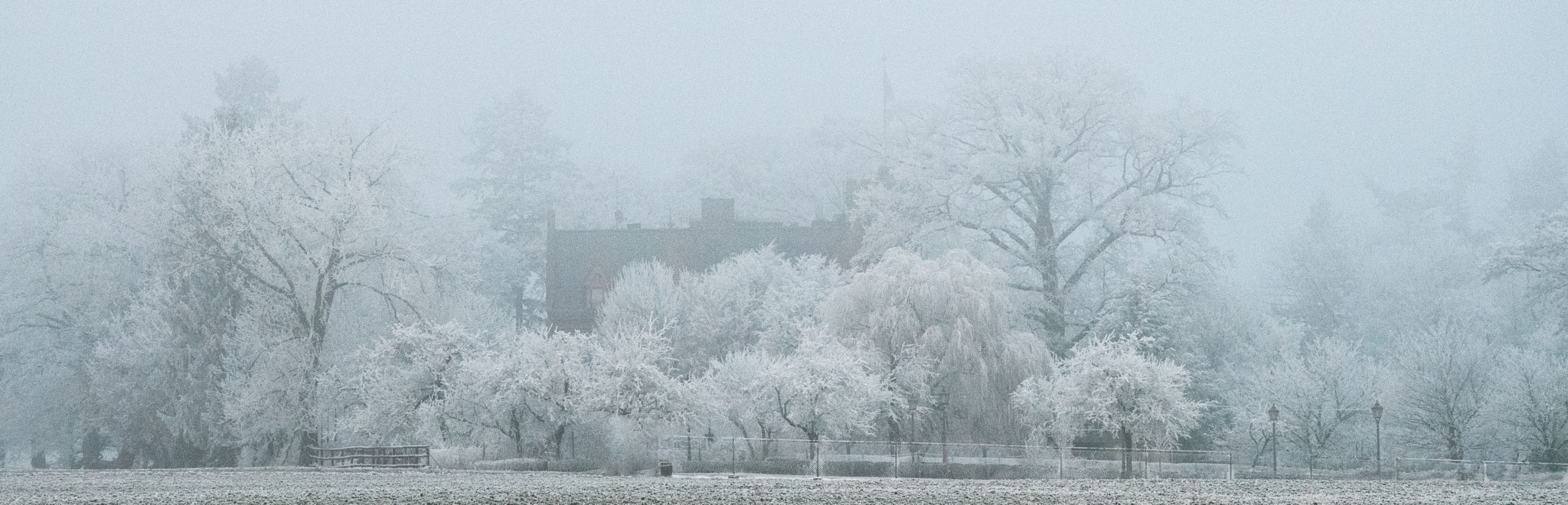 Nikon D500 sample photo. Schloss rettershof in the fog photography