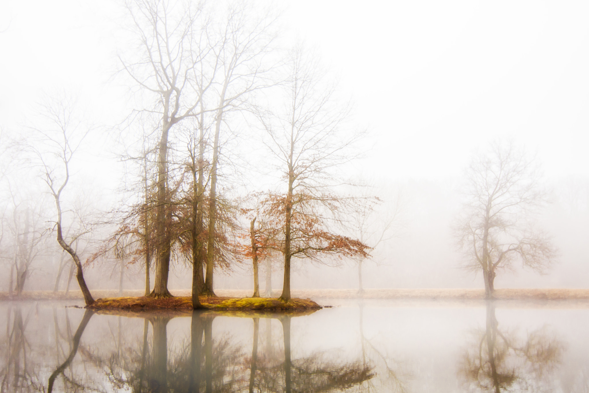Tokina AT-X Pro 12-24mm F4 (IF) DX sample photo. Misty mornings photography