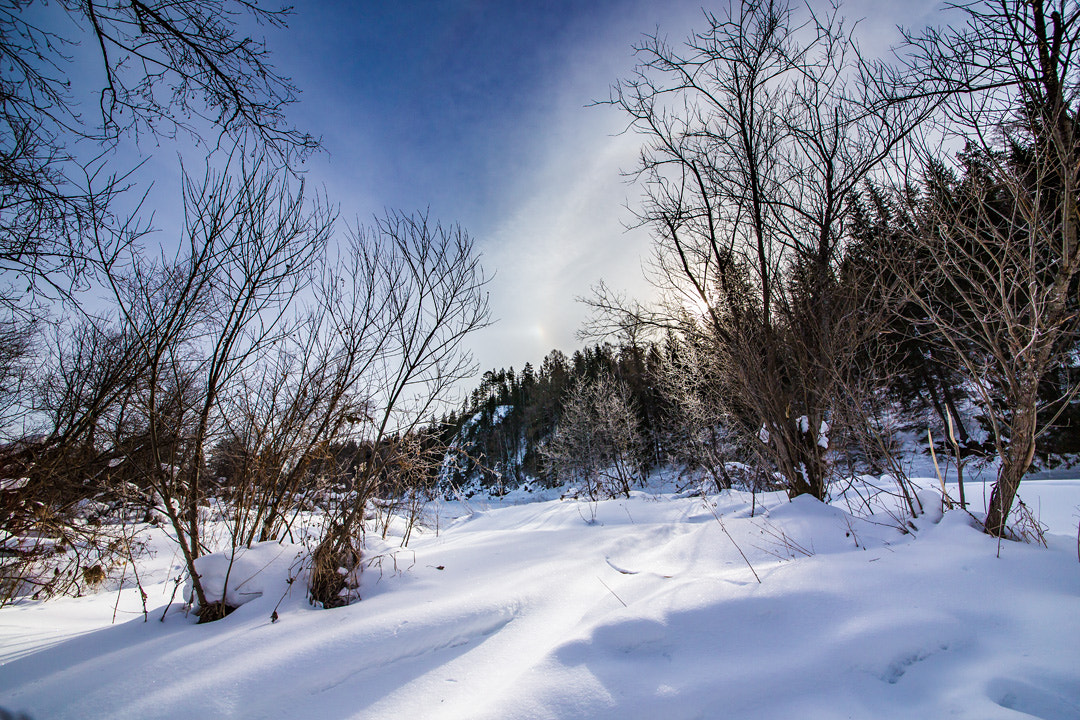 Canon EOS 6D + Sigma 12-24mm F4.5-5.6 II DG HSM sample photo. Frost and sun photography