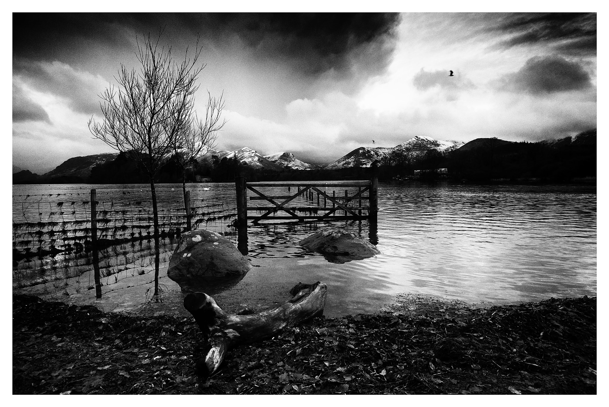 Nikon D200 sample photo. Derwent water photography