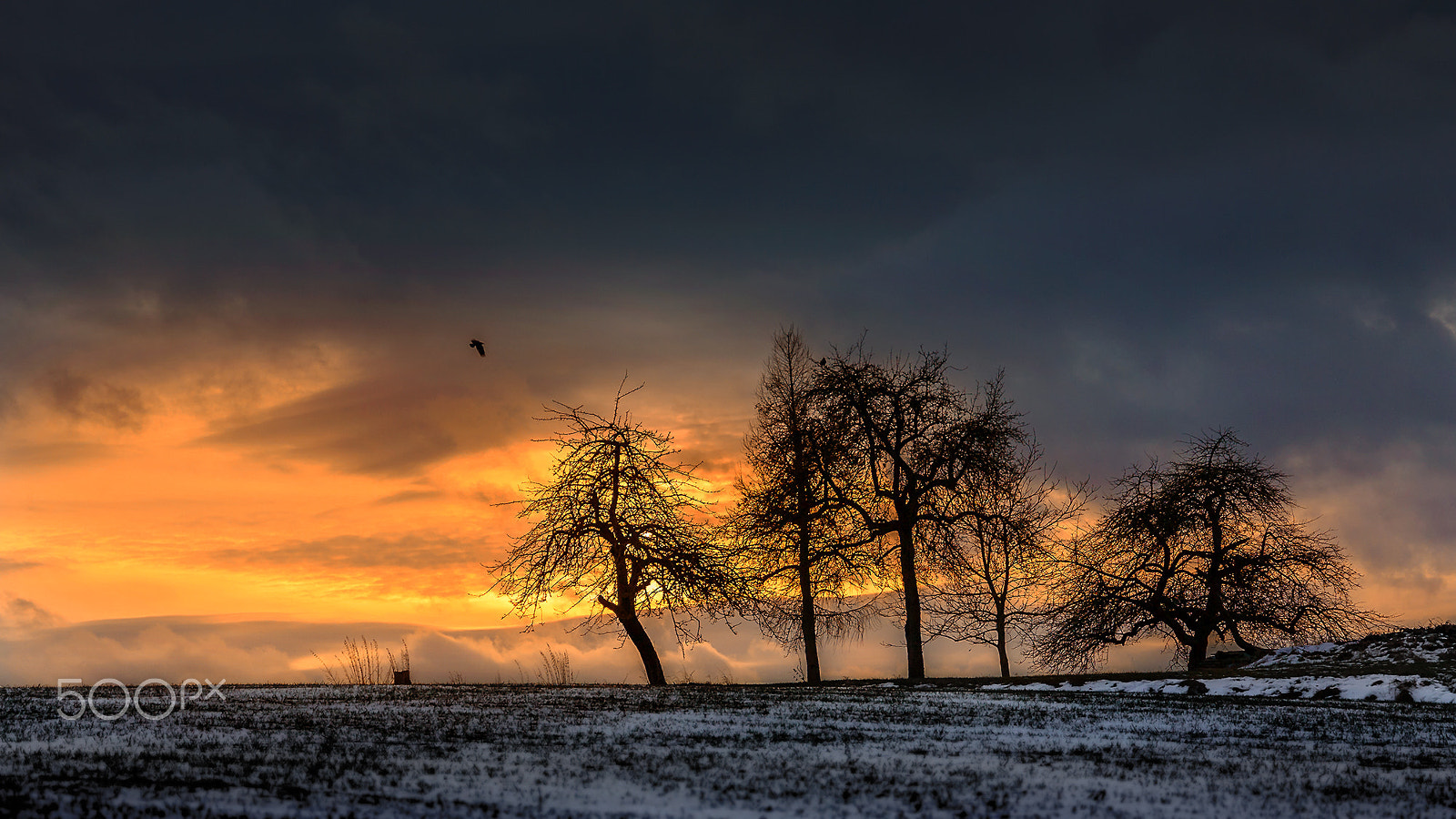 Canon EF 24-105mm F3.5-5.6 IS STM sample photo. Sunrise photography