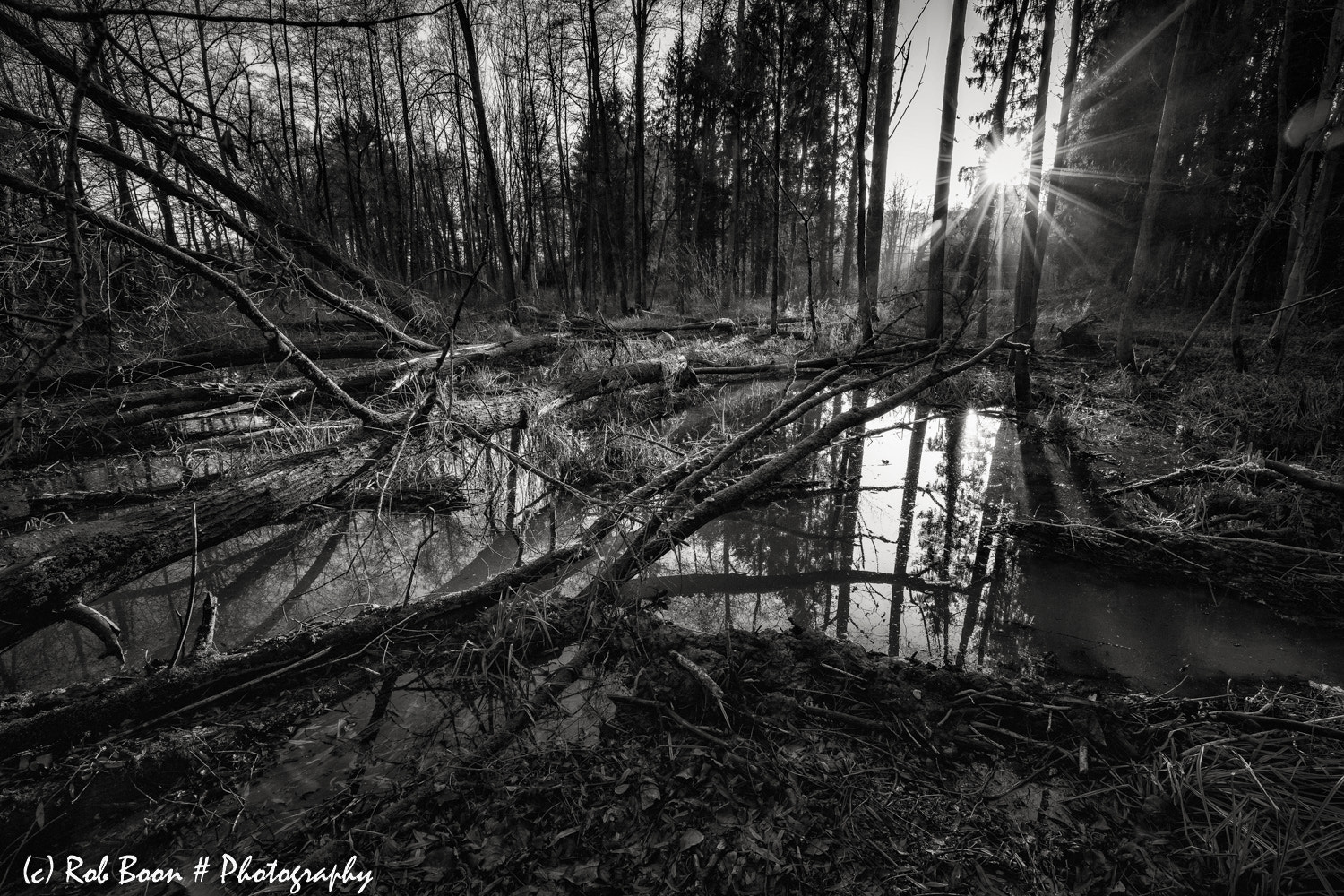 Canon EOS 5DS + Canon EF 16-35mm F4L IS USM sample photo. Beaver territory photography