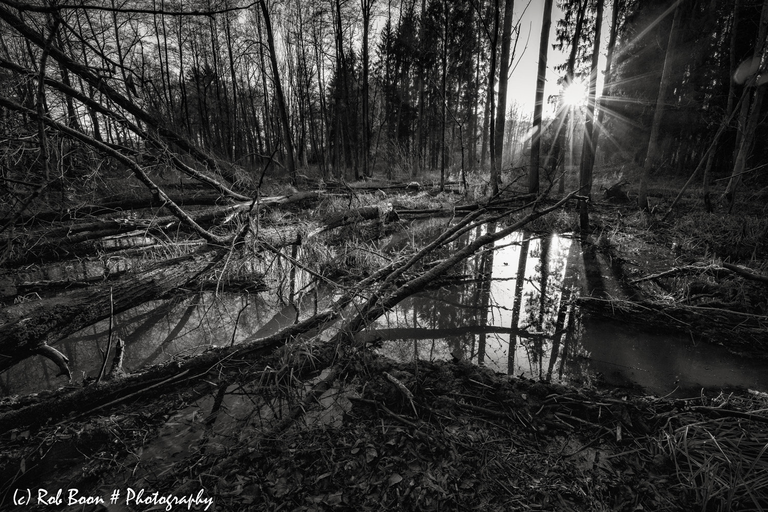 Canon EF 16-35mm F4L IS USM sample photo. Beaver territory photography
