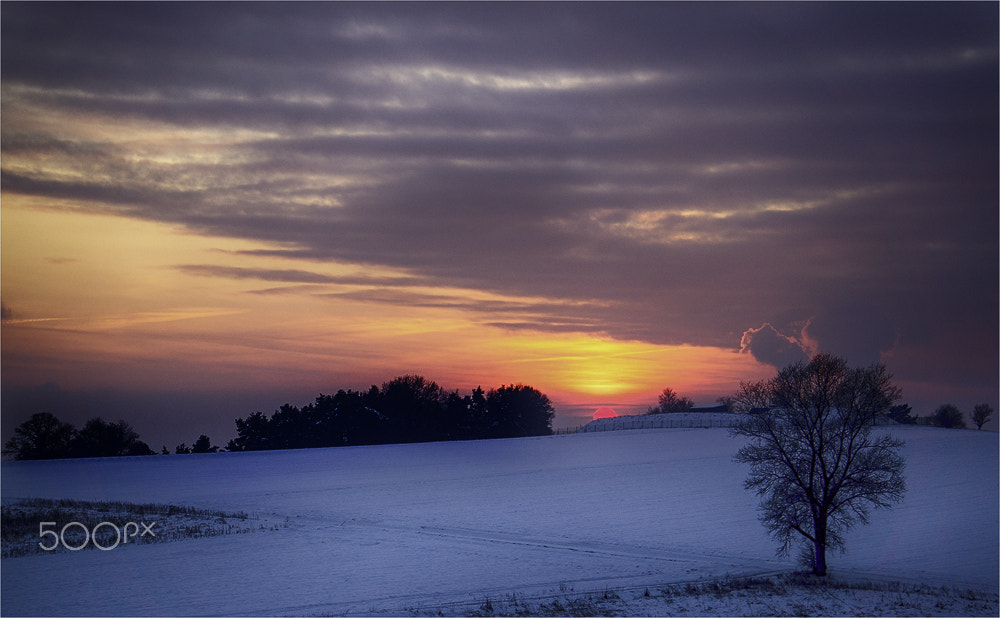 Sony Alpha NEX-6 sample photo. Last sun photography