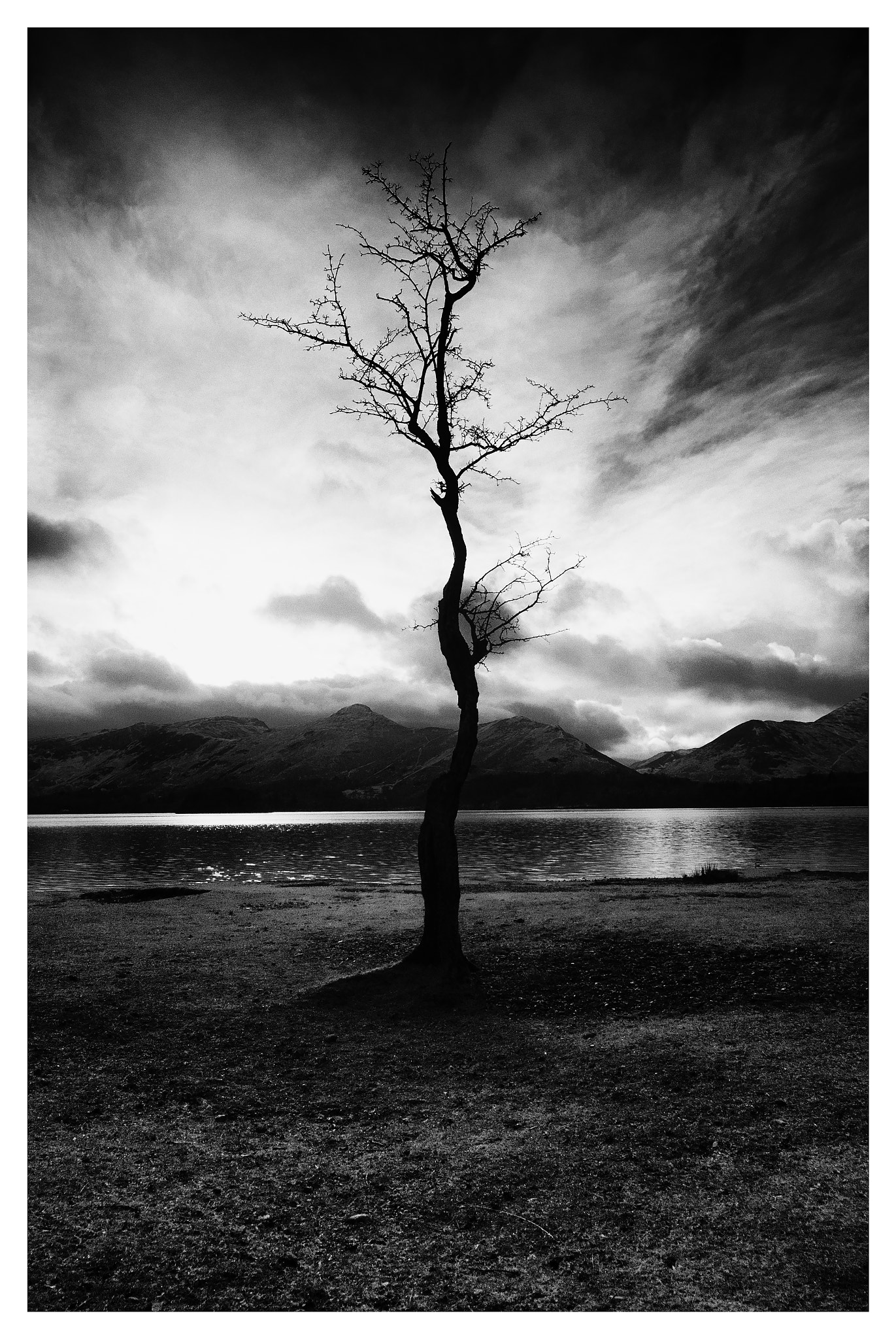Nikon D200 + Sigma 10-20mm F3.5 EX DC HSM sample photo. Tree photography