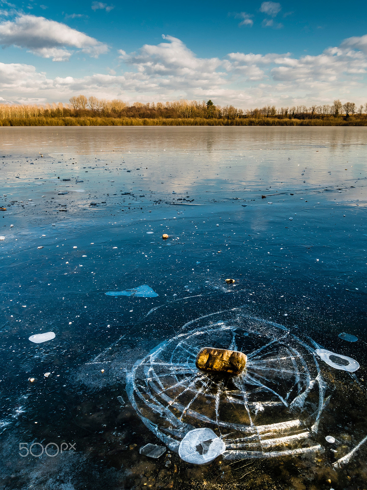 Olympus PEN E-PL7 sample photo. Spiderweb of ice photography