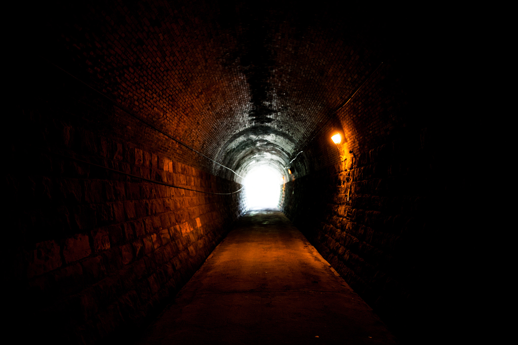 Canon EOS-1Ds Mark III sample photo. Heading toward the light photography