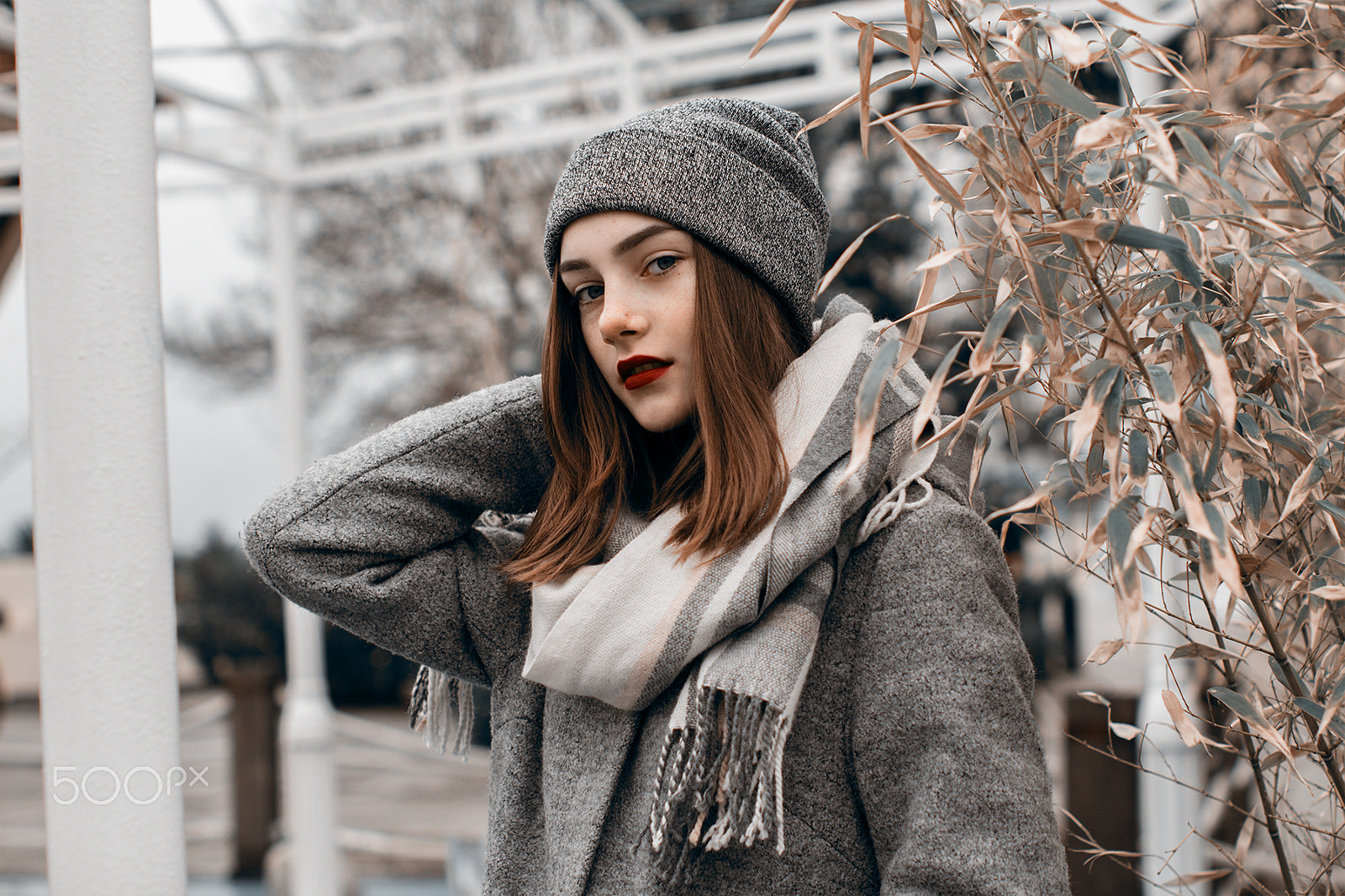 Sigma 50mm F1.4 EX DG HSM sample photo. Kate. january, 2017 photography