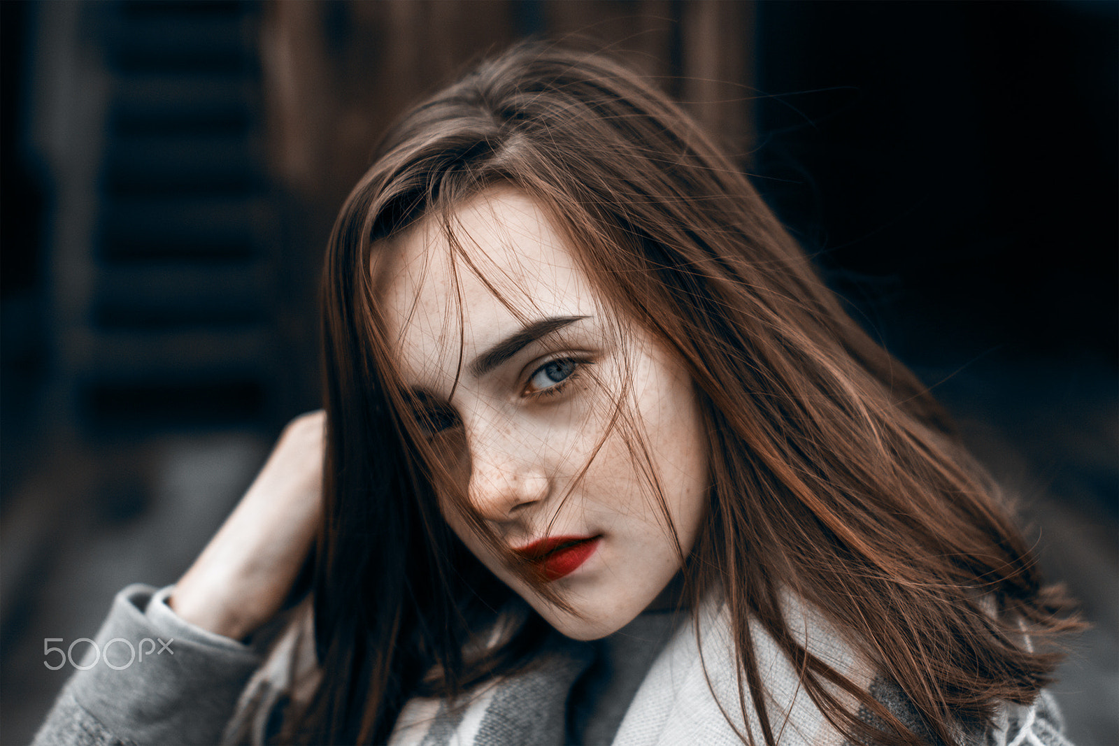 Sigma 50mm F1.4 EX DG HSM sample photo. Kate. january, 2017 photography