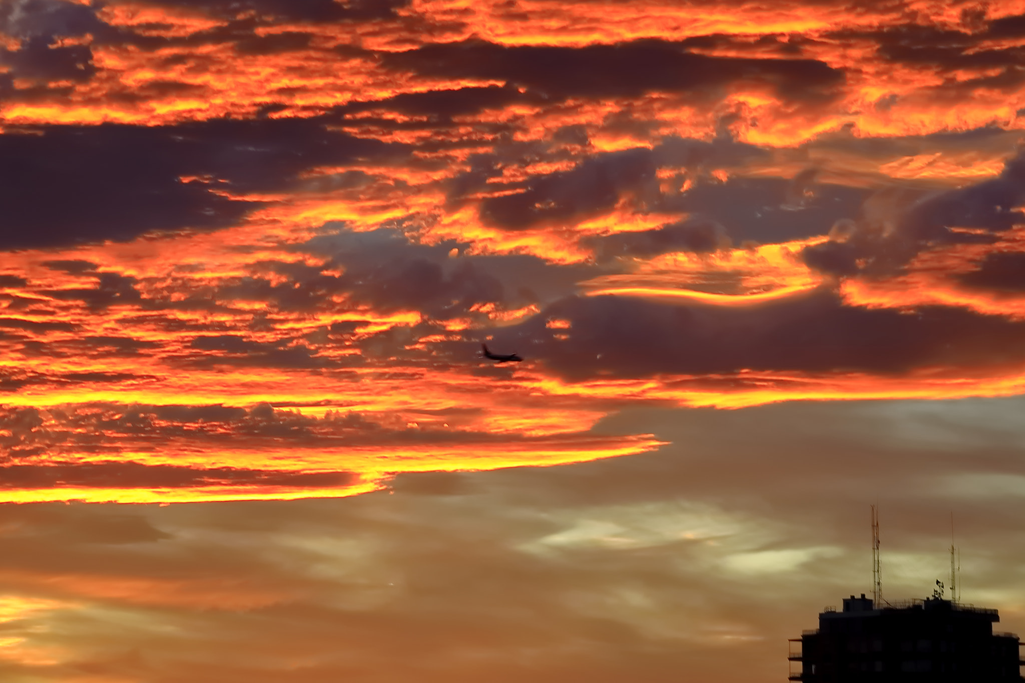 Sigma 150-500mm F5-6.3 DG OS HSM sample photo. Red flight photography