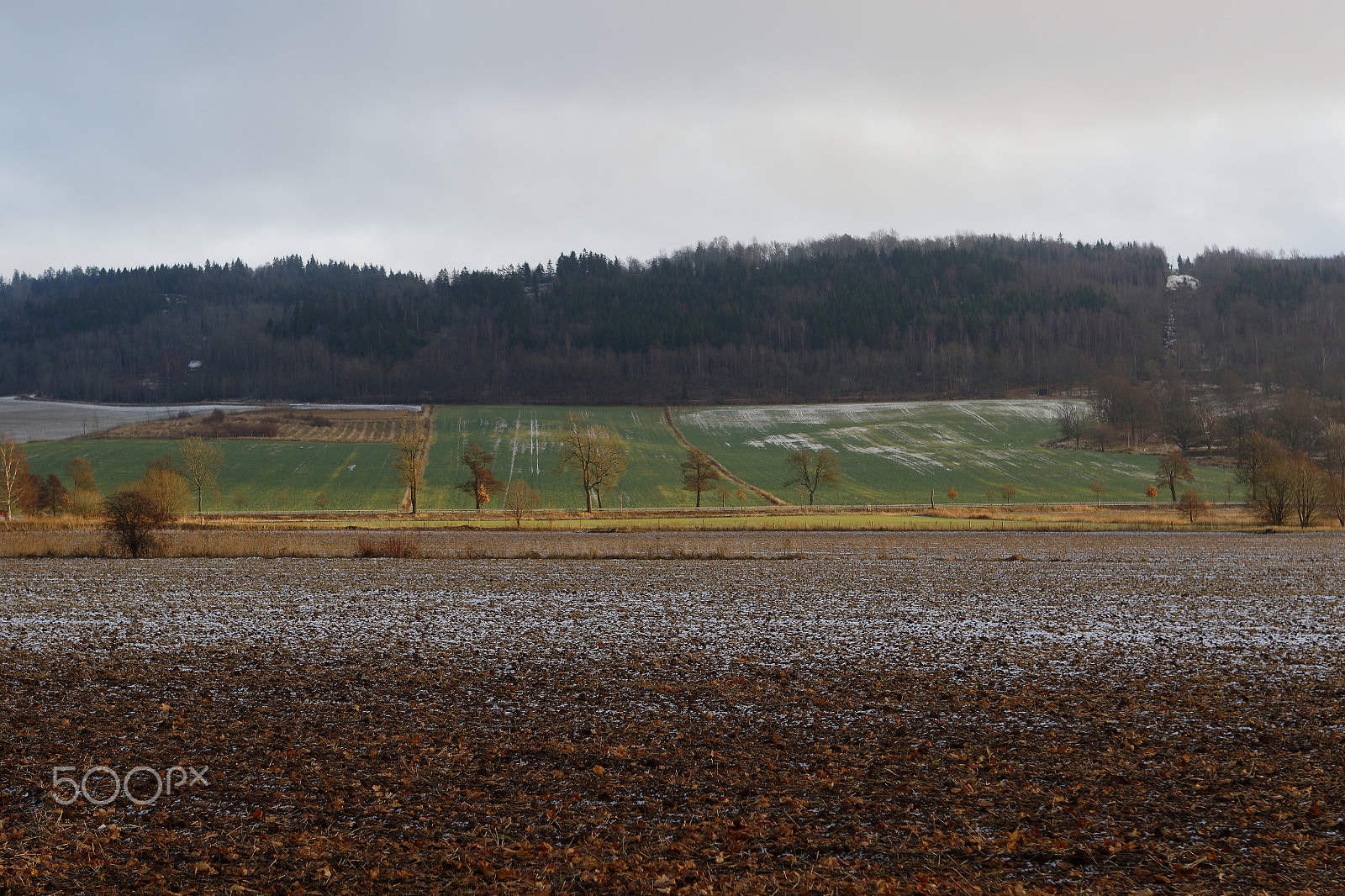 Canon EF 24-70mm F2.8L USM sample photo. Farming photography