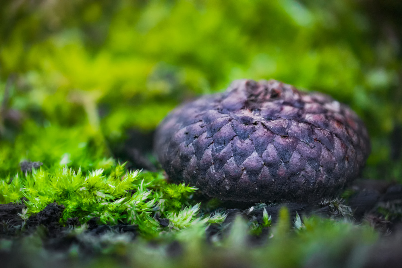 35mm f/1.8G sample photo. The hat photography