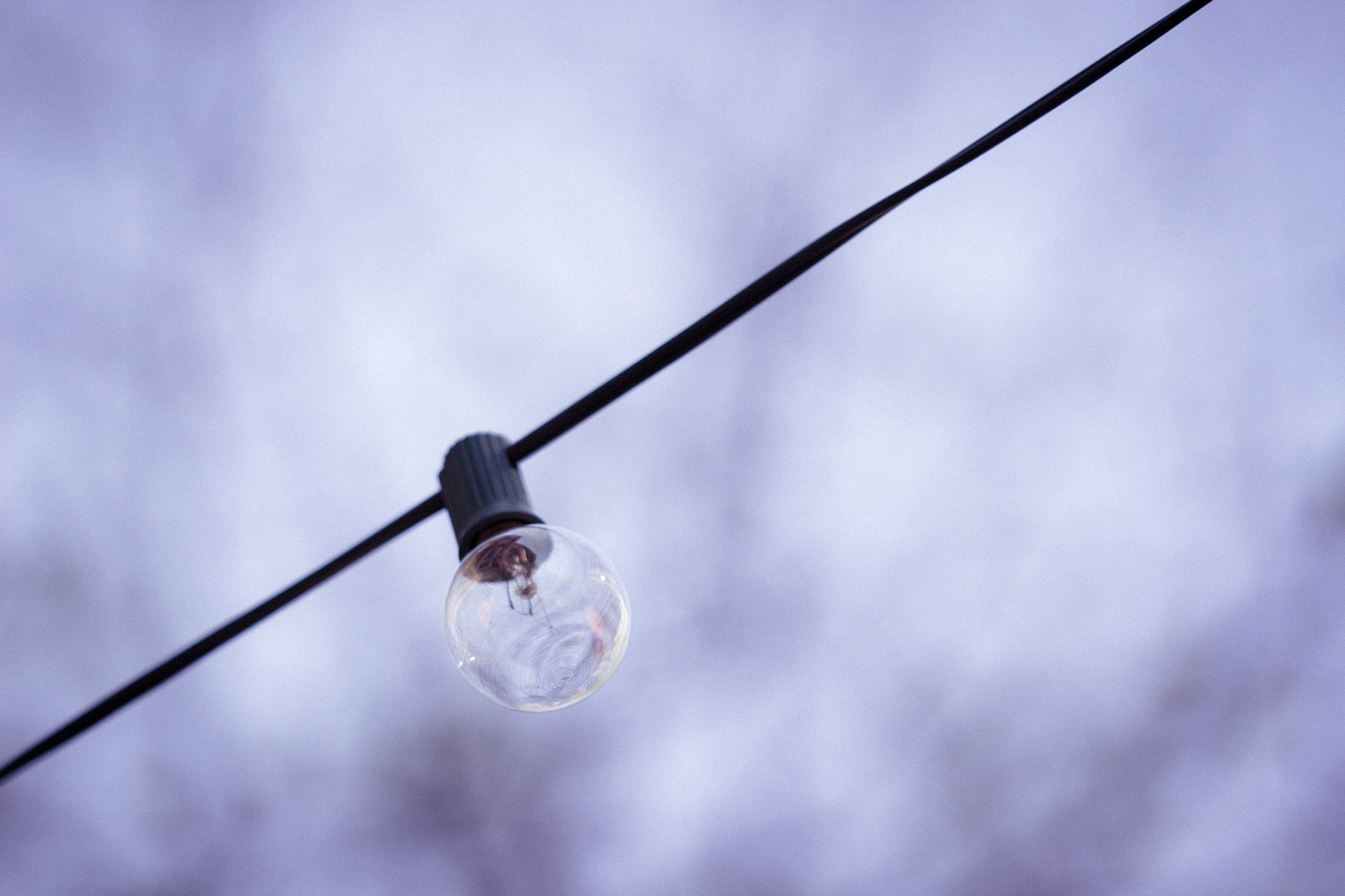 Canon EF 100mm F2.8 Macro USM sample photo. Lonely photography