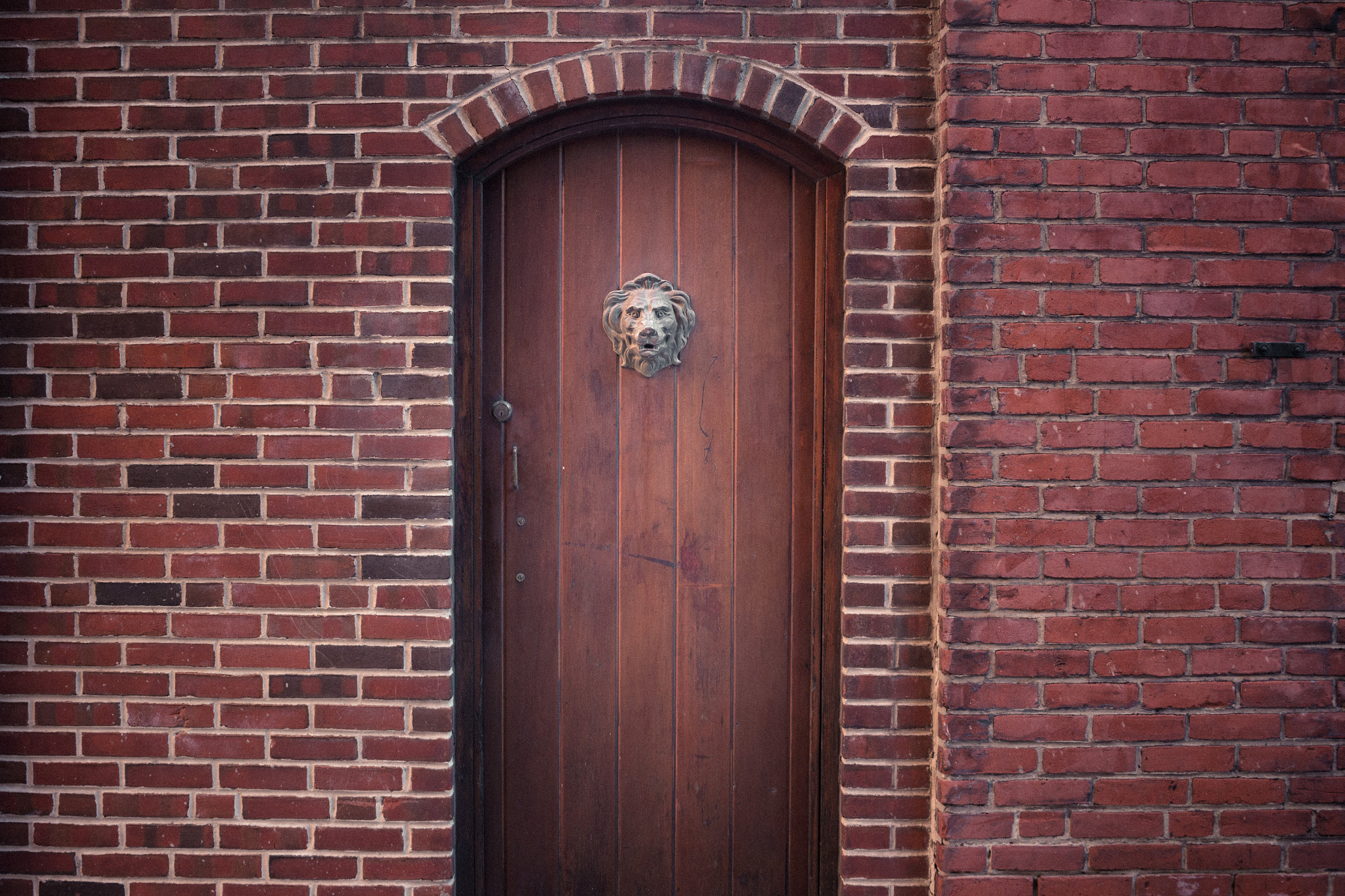 Canon EF-S 24mm F2.8 STM sample photo. The lion's den photography