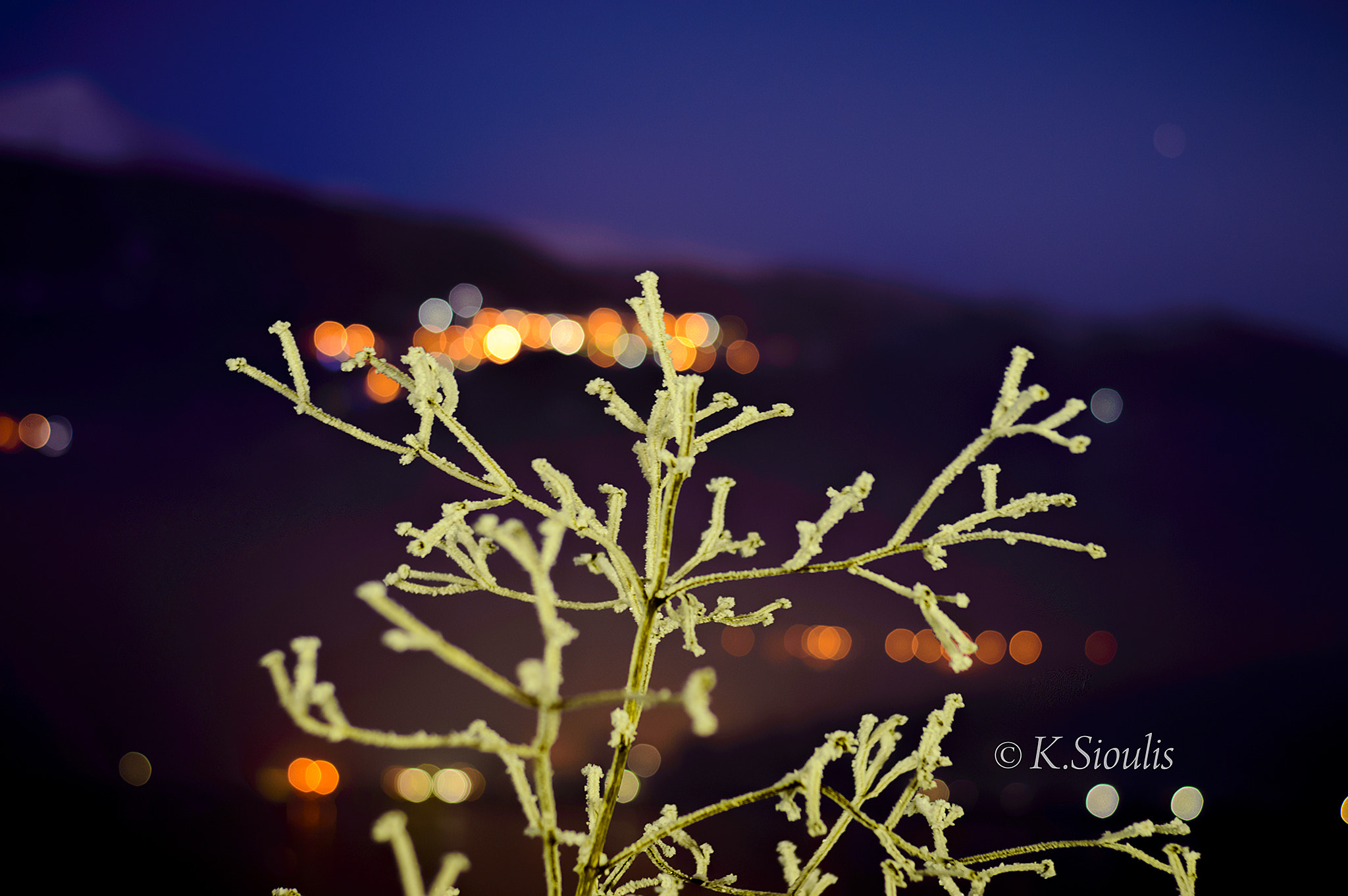 Nikon D3200 sample photo