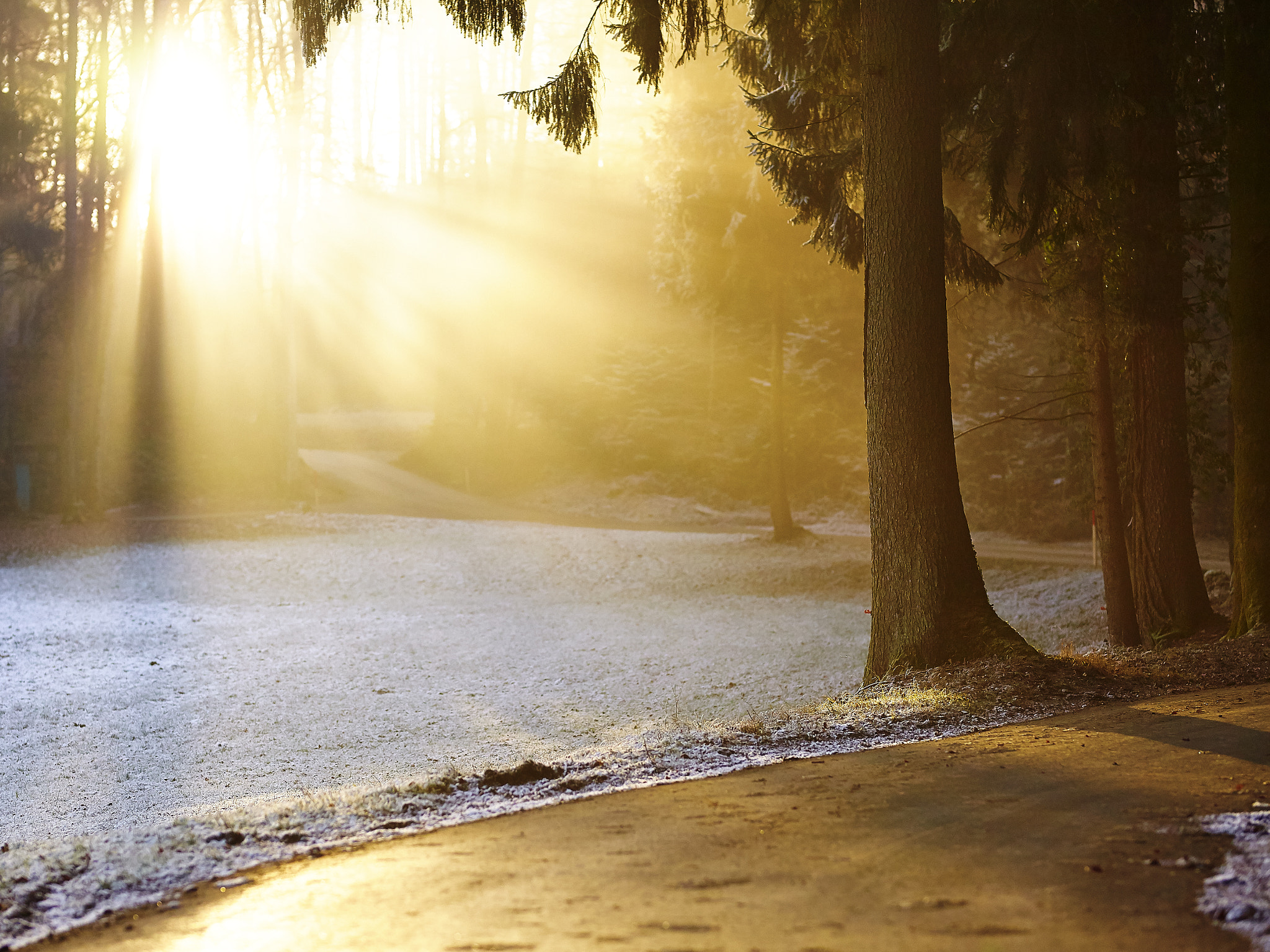 Sigma 85mm F1.4 DG HSM Art sample photo. Hell of a morning photography