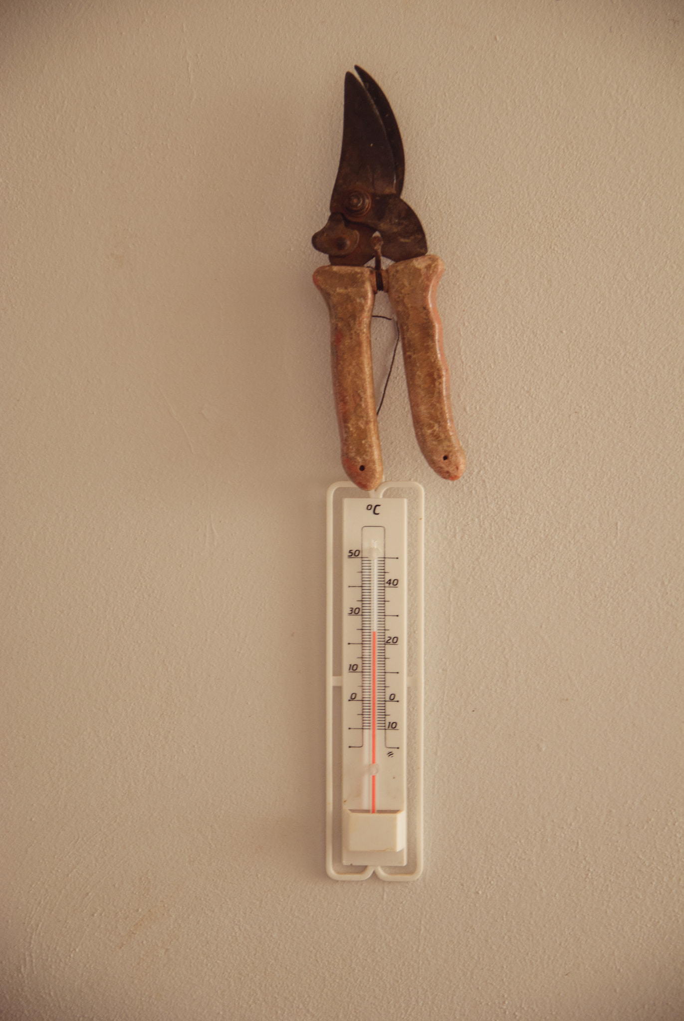 Sigma 17-50mm F2.8 EX DC OS HSM sample photo. 24°c photography