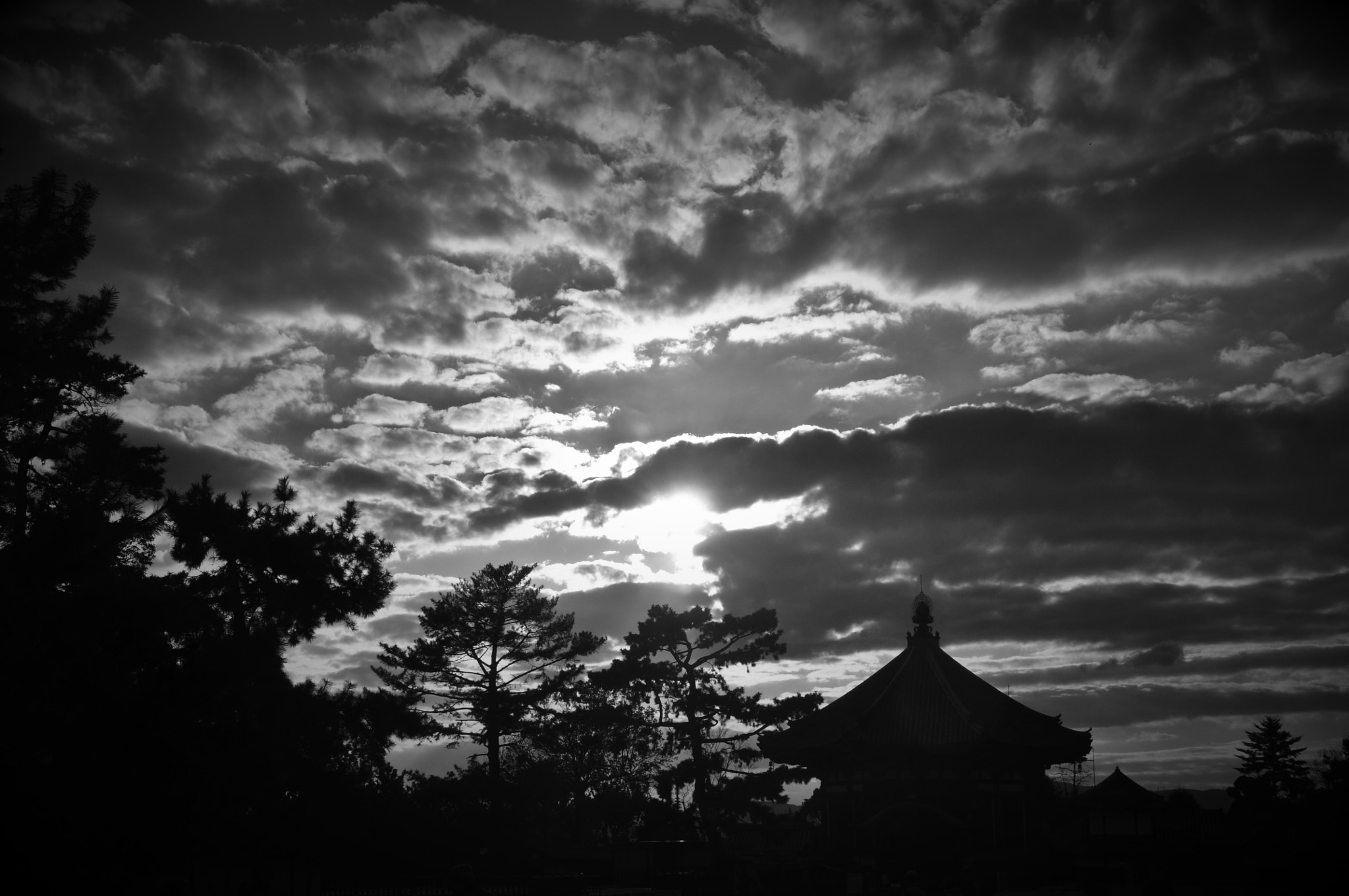 Nikon D90 + Tamron AF 18-270mm F3.5-6.3 Di II VC LD Aspherical (IF) MACRO sample photo. Osaka sunset photography