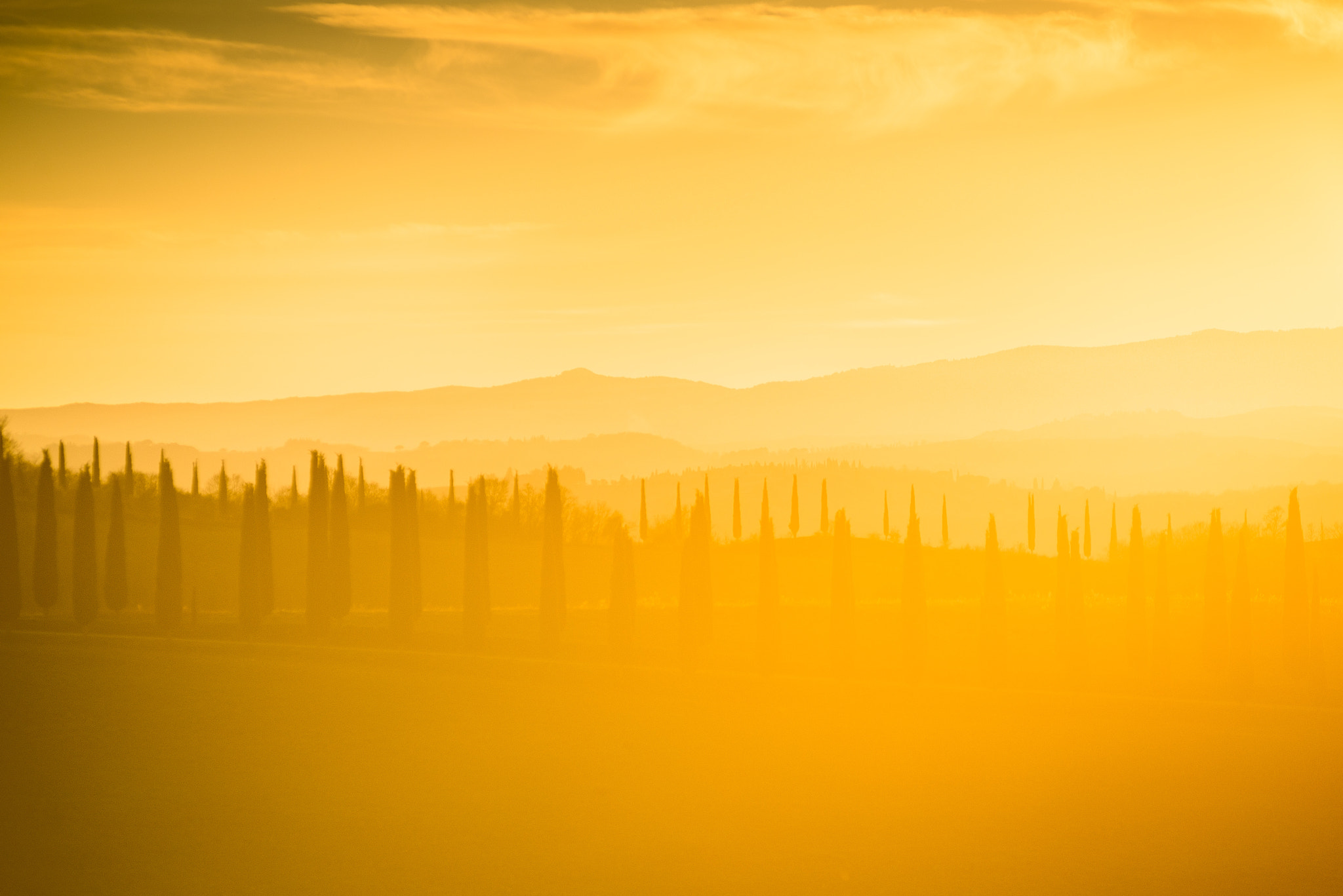 AF Zoom-Nikkor 80-200mm f/2.8 ED sample photo. Pixcube.it in parco val d'orcia tuscany photography