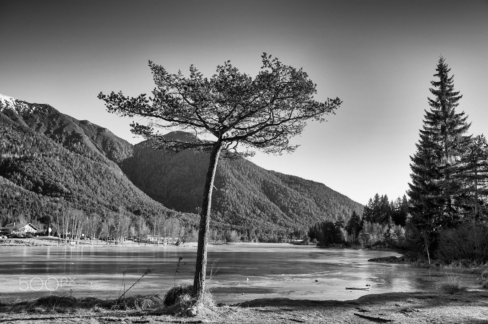 Sony SLT-A58 sample photo. Baum am see / tree by the lake photography